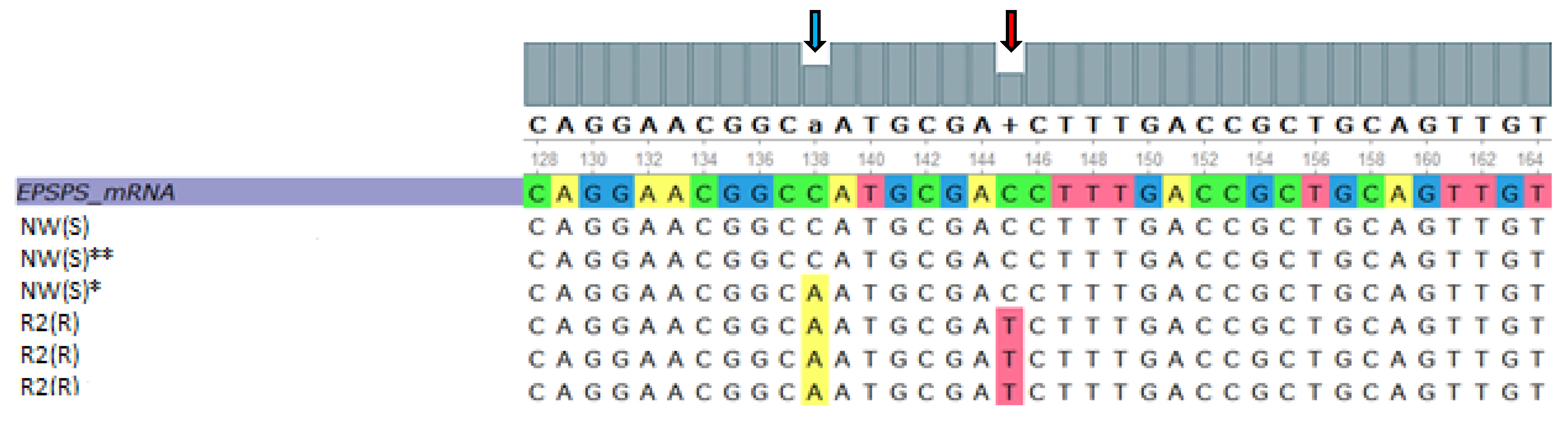Agronomy 11 00884 g007 Agronomy 11 00884 g007