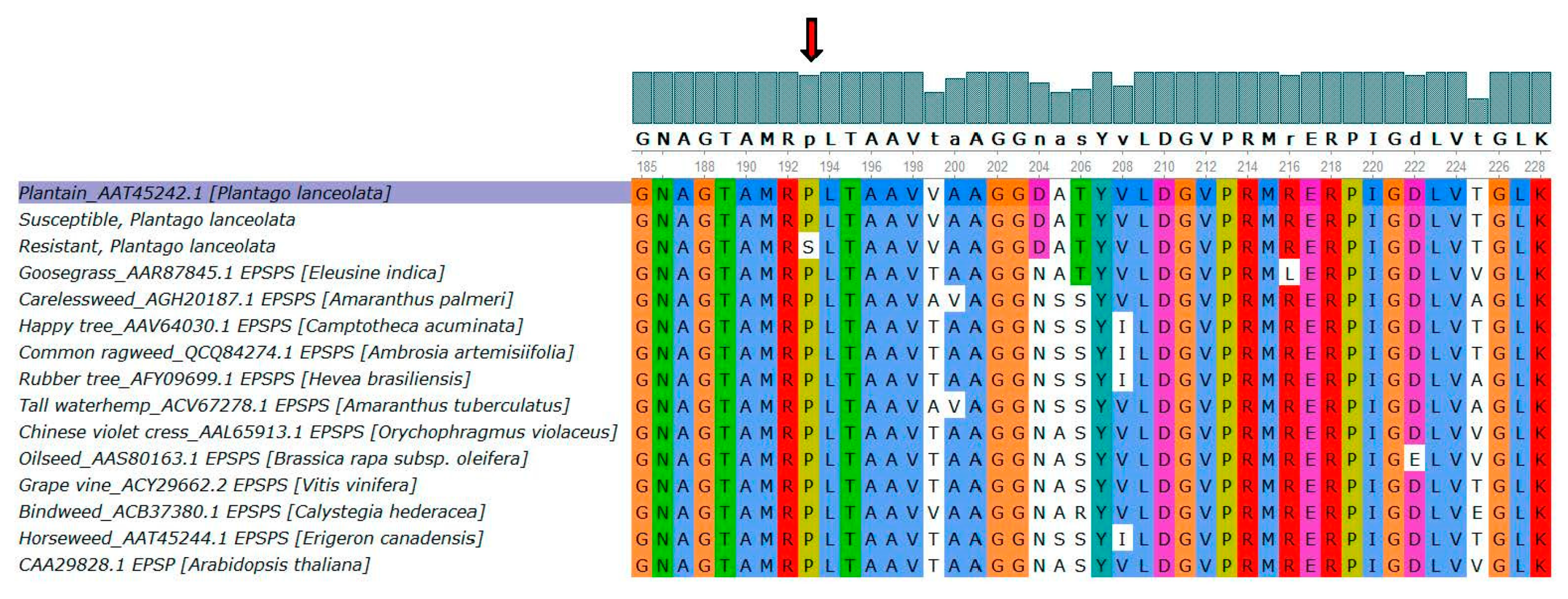 Agronomy 11 00884 g008 Agronomy 11 00884 g008