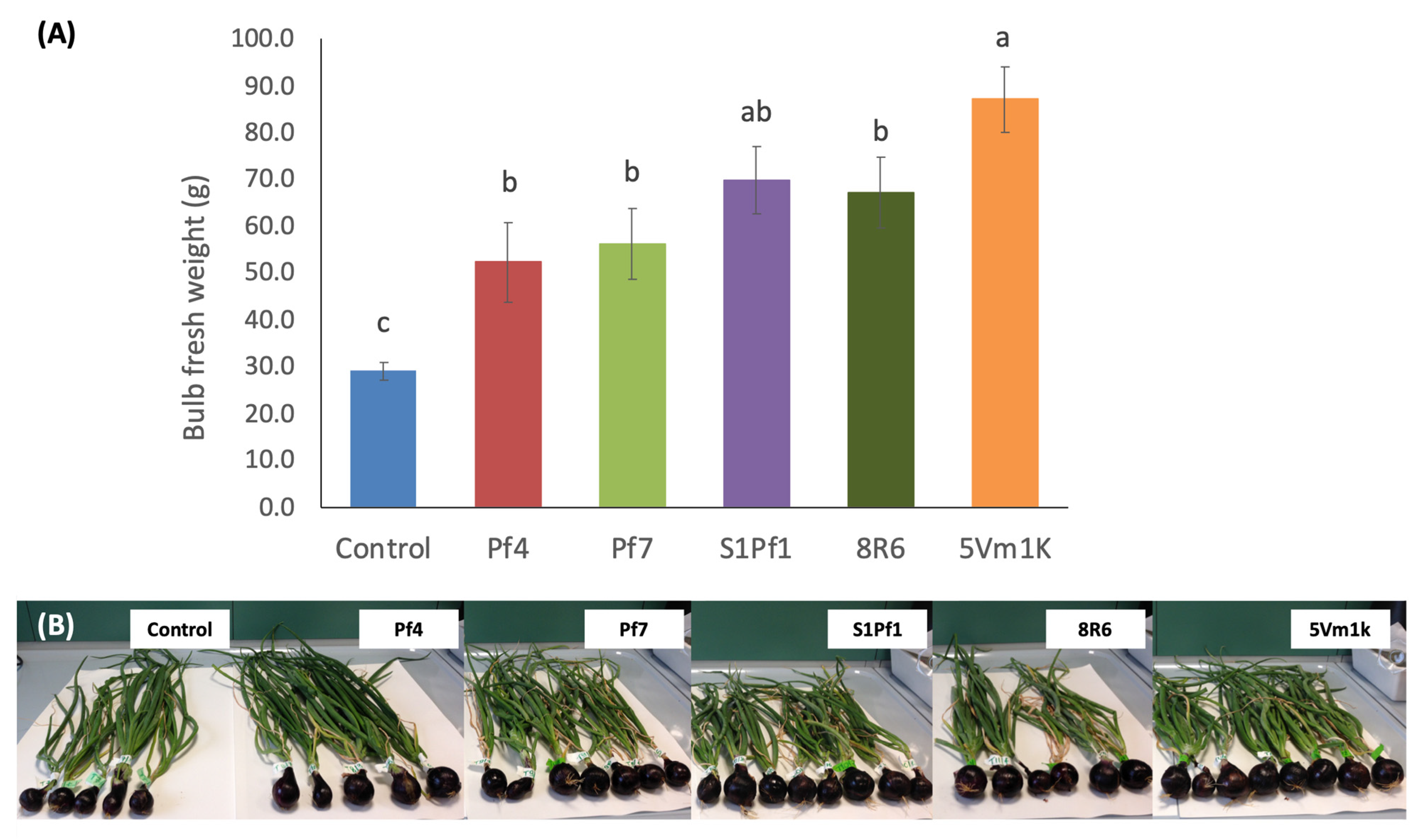 Agronomy 11 00888 g001 Agronomy 11 00888 g001