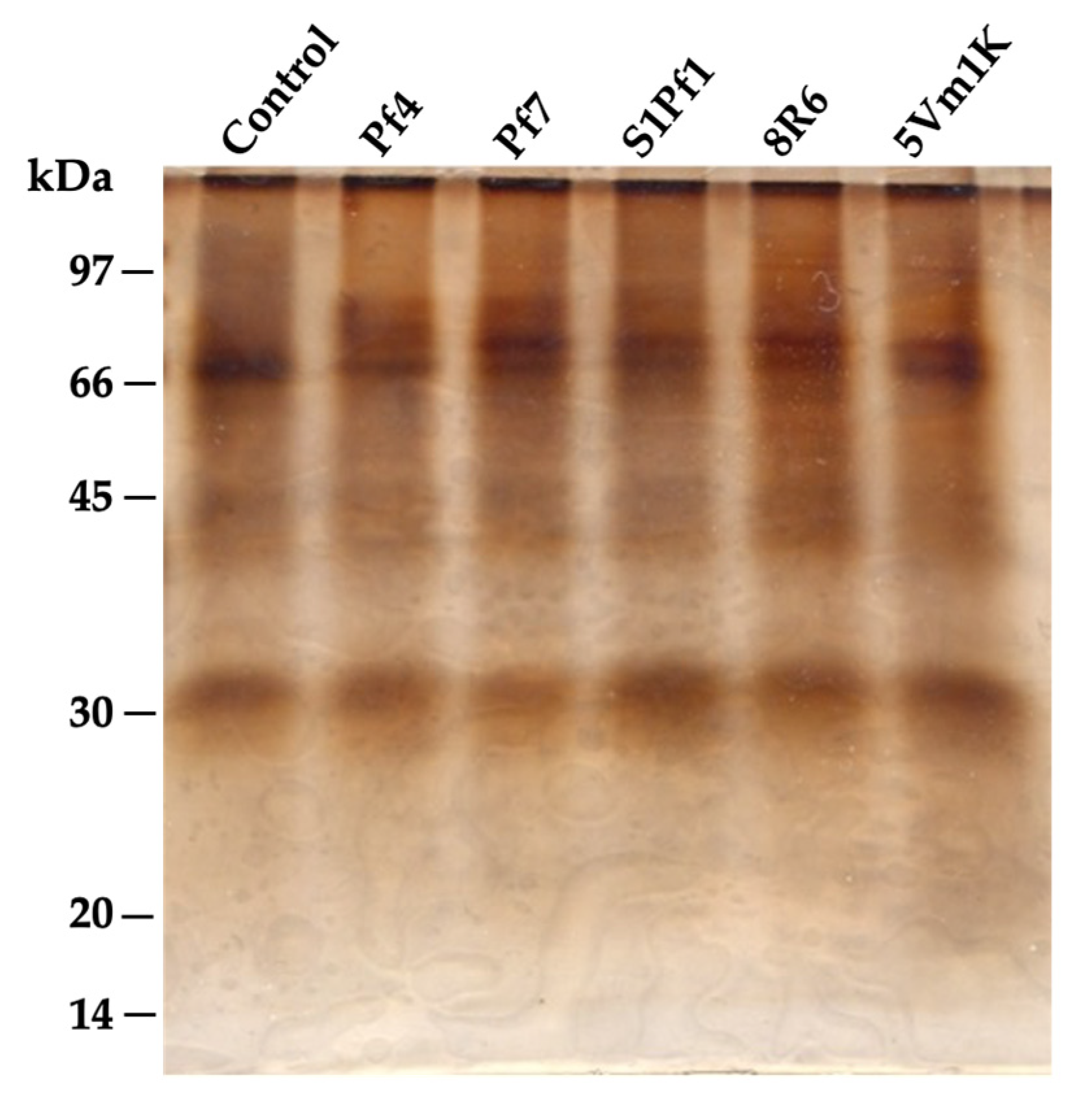 Agronomy 11 00888 g006 Agronomy 11 00888 g006
