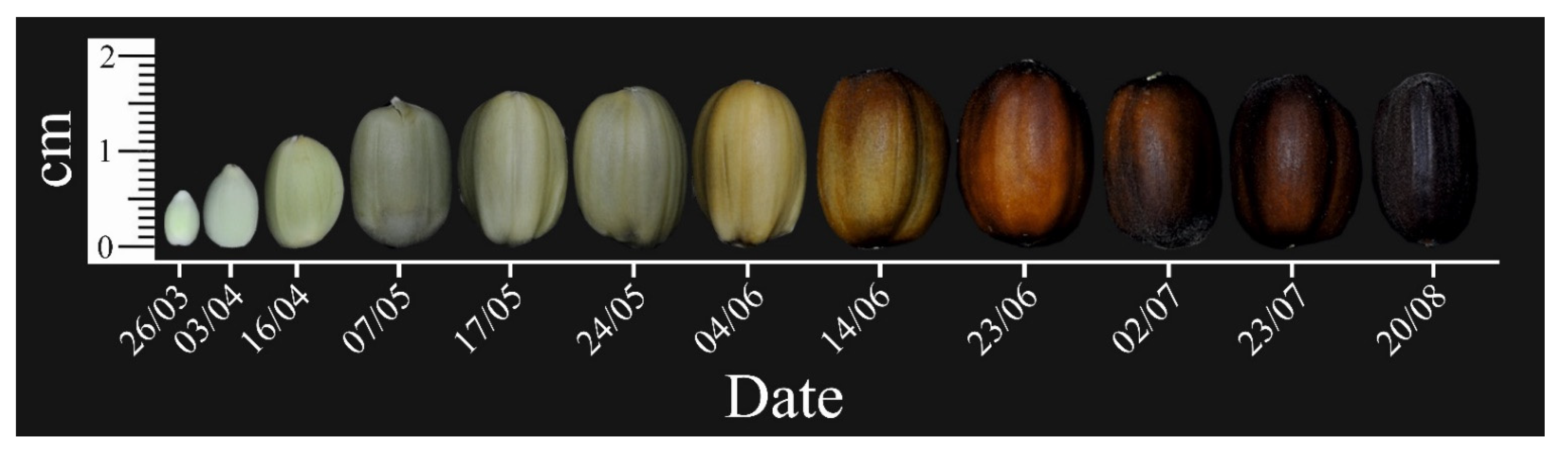 Agronomy 11 00889 g003 Agronomy 11 00889 g003