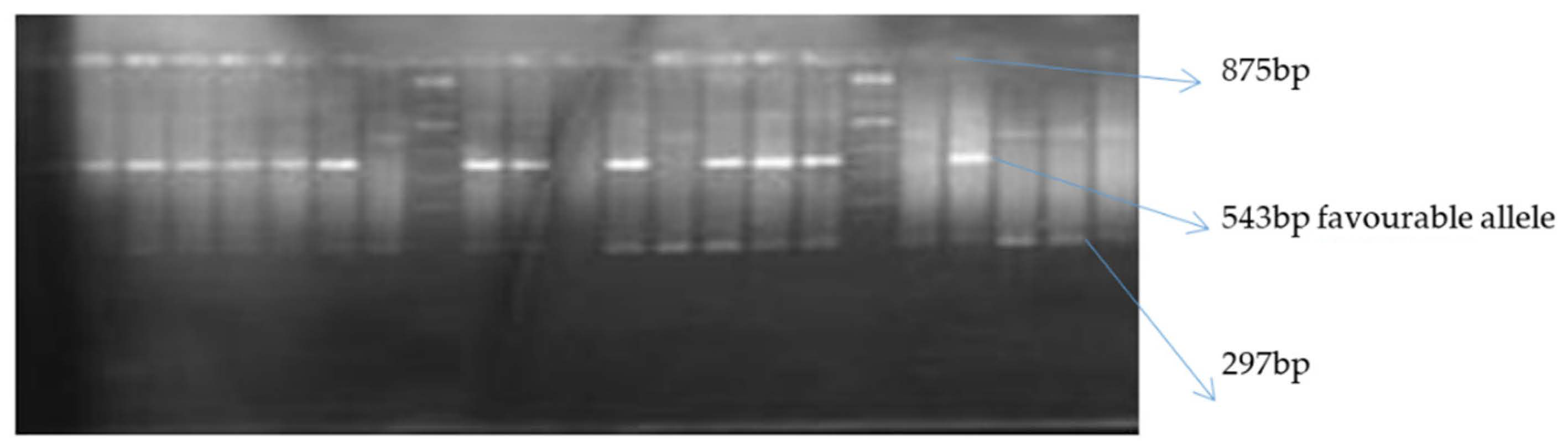 Agronomy 11 00891 g001 Agronomy 11 00891 g001