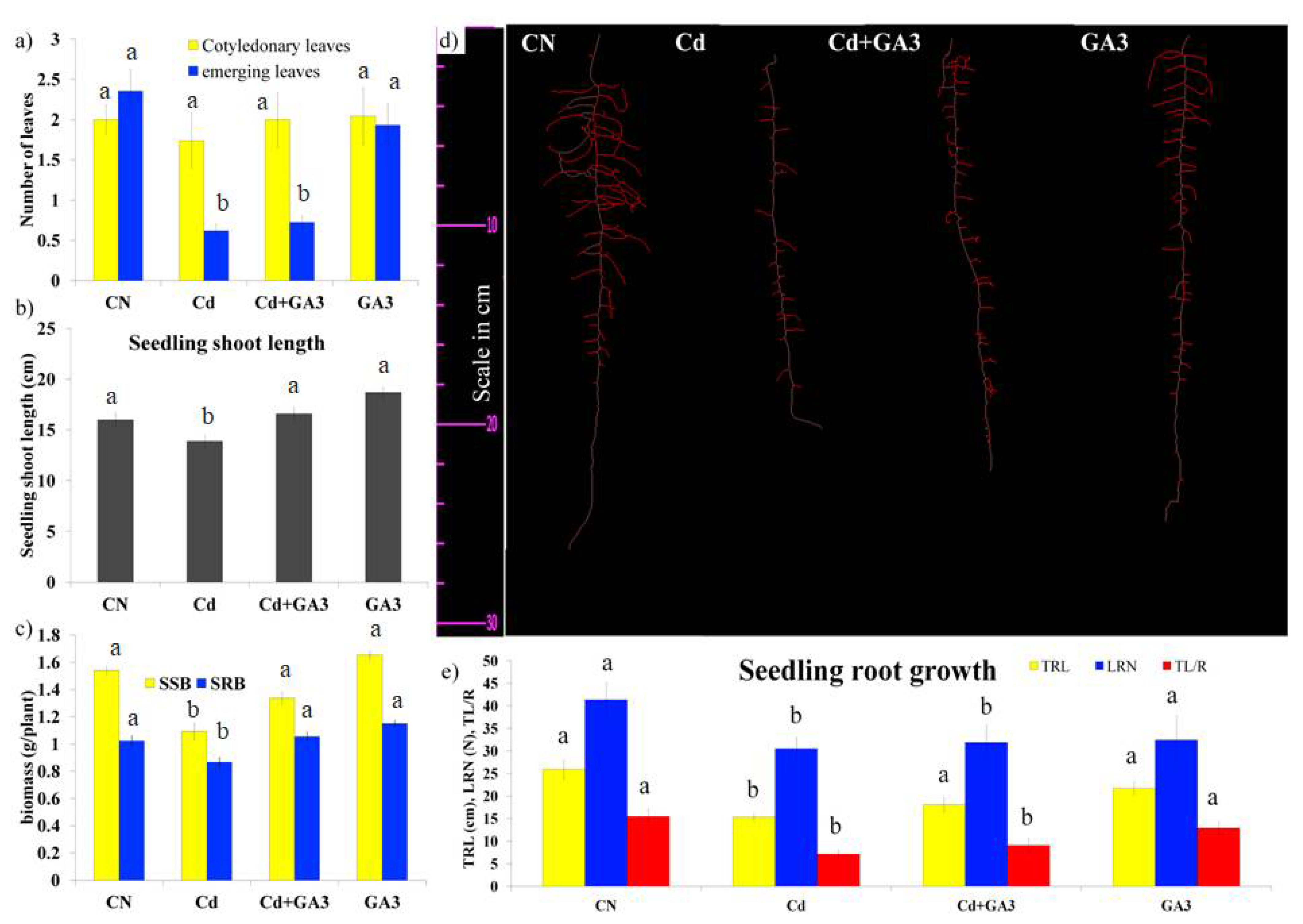 Agronomy 11 00896 g001 Agronomy 11 00896 g001