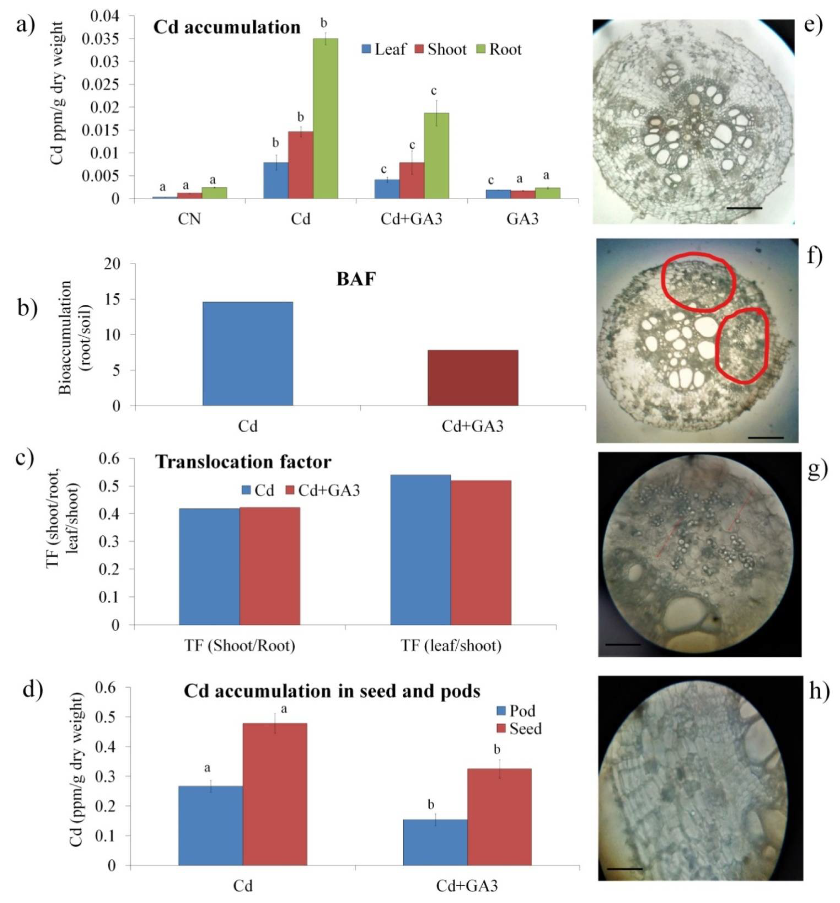 Agronomy 11 00896 g004 Agronomy 11 00896 g004