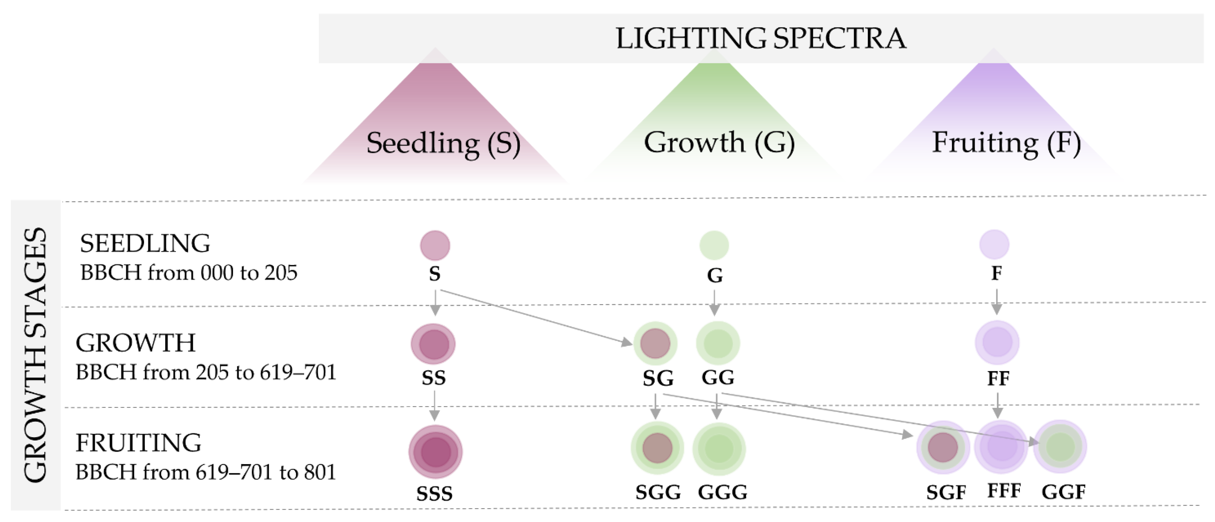 Agronomy 11 00901 g001 Agronomy 11 00901 g001