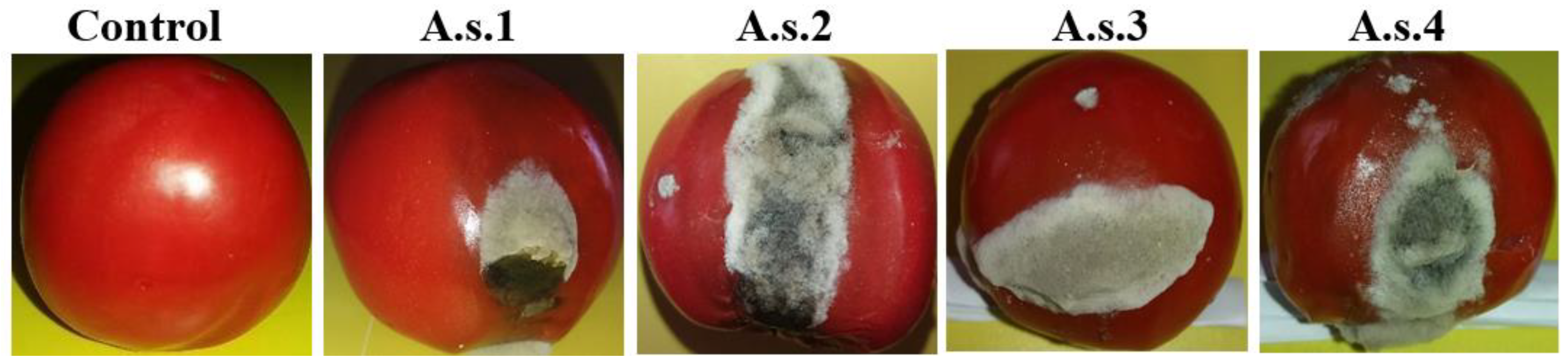 Agronomy 11 00911 g001 Agronomy 11 00911 g001