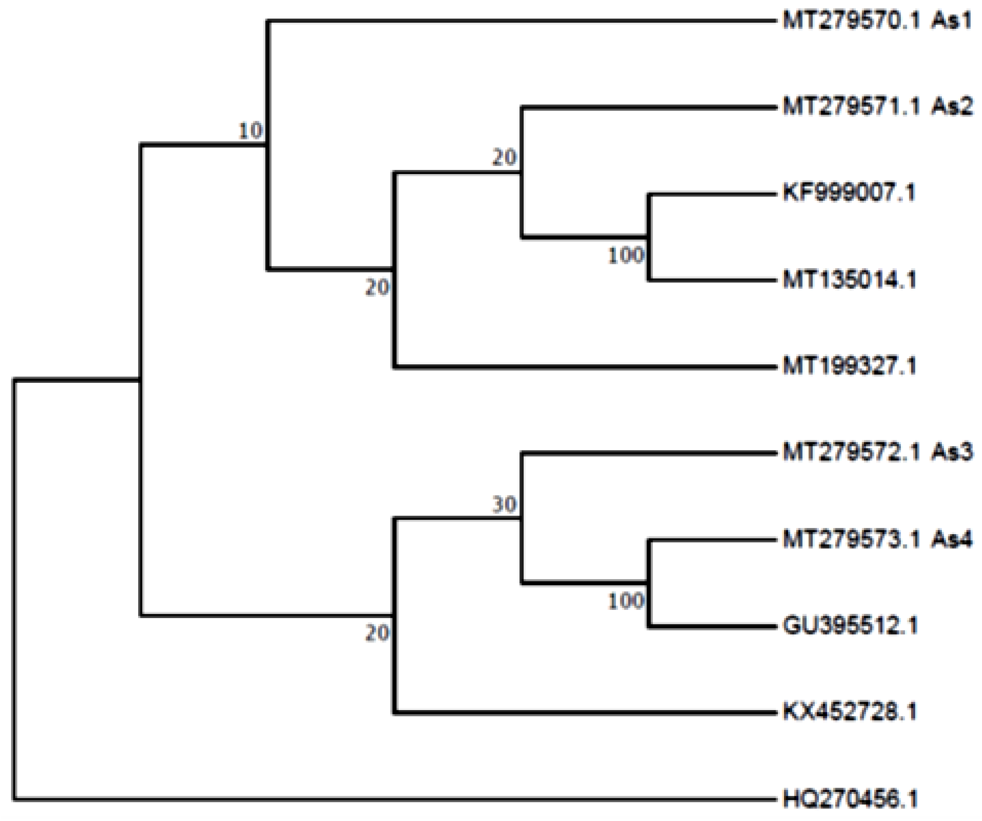 Agronomy 11 00911 g004 Agronomy 11 00911 g004
