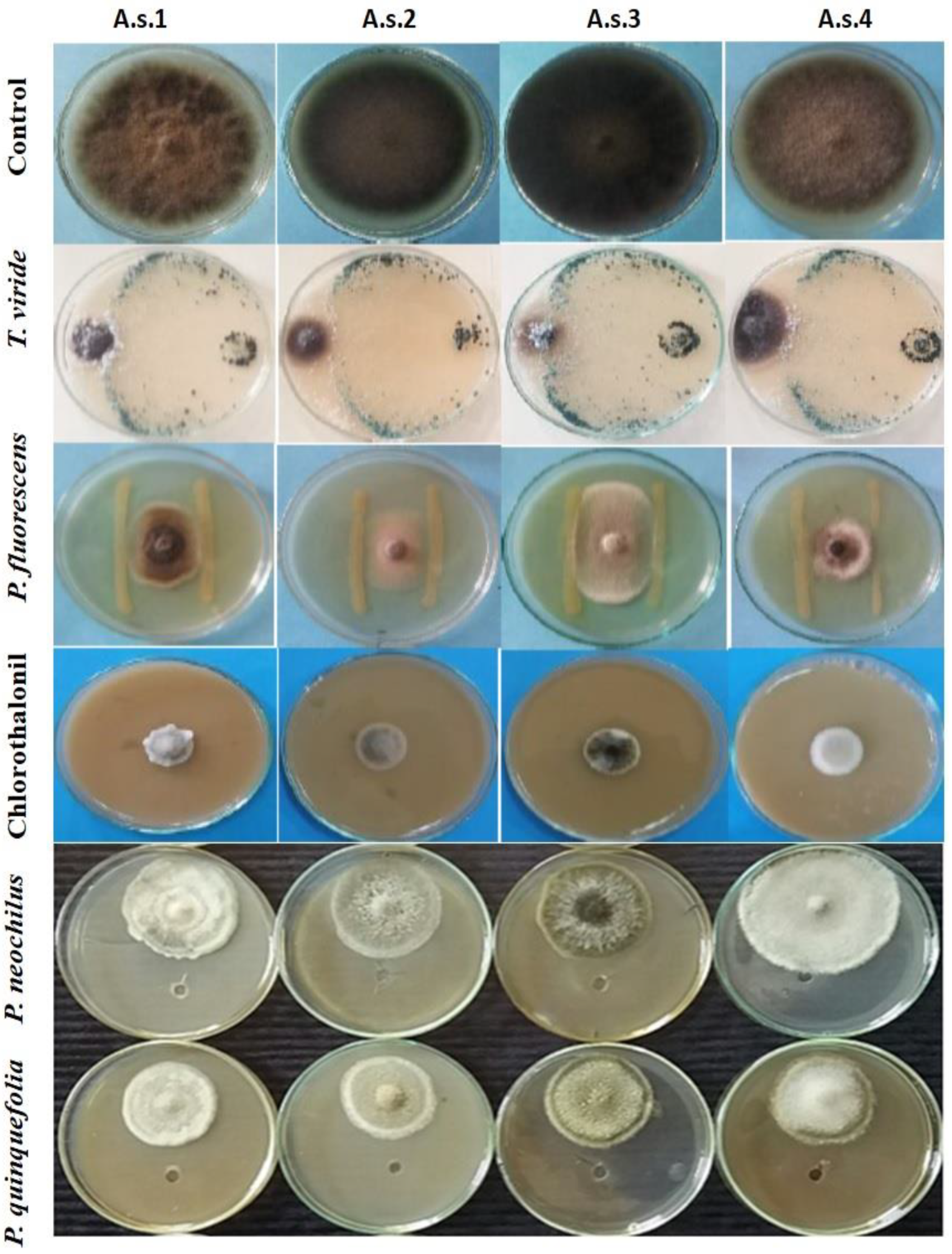 Agronomy 11 00911 g005 Agronomy 11 00911 g005