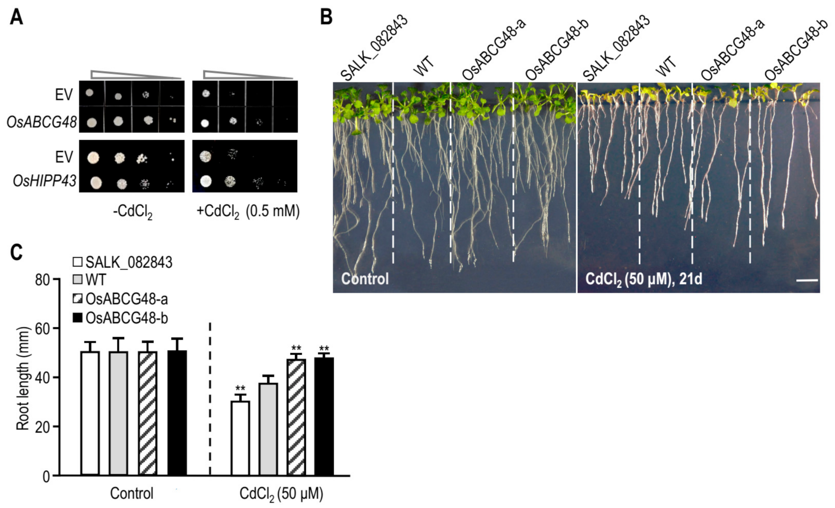 Agronomy 11 00918 g003 Agronomy 11 00918 g003