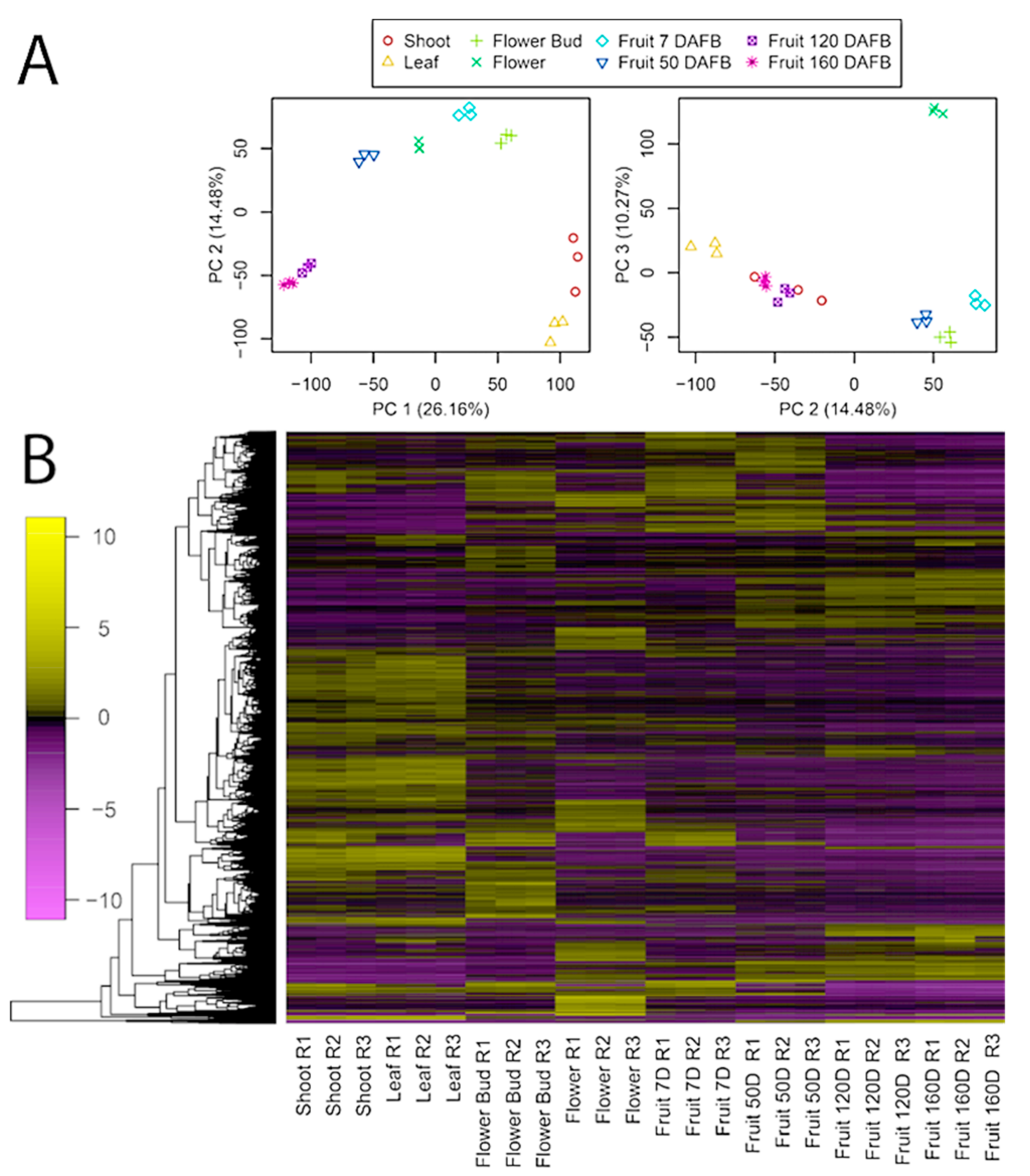 Agronomy 11 00919 g002 Agronomy 11 00919 g002