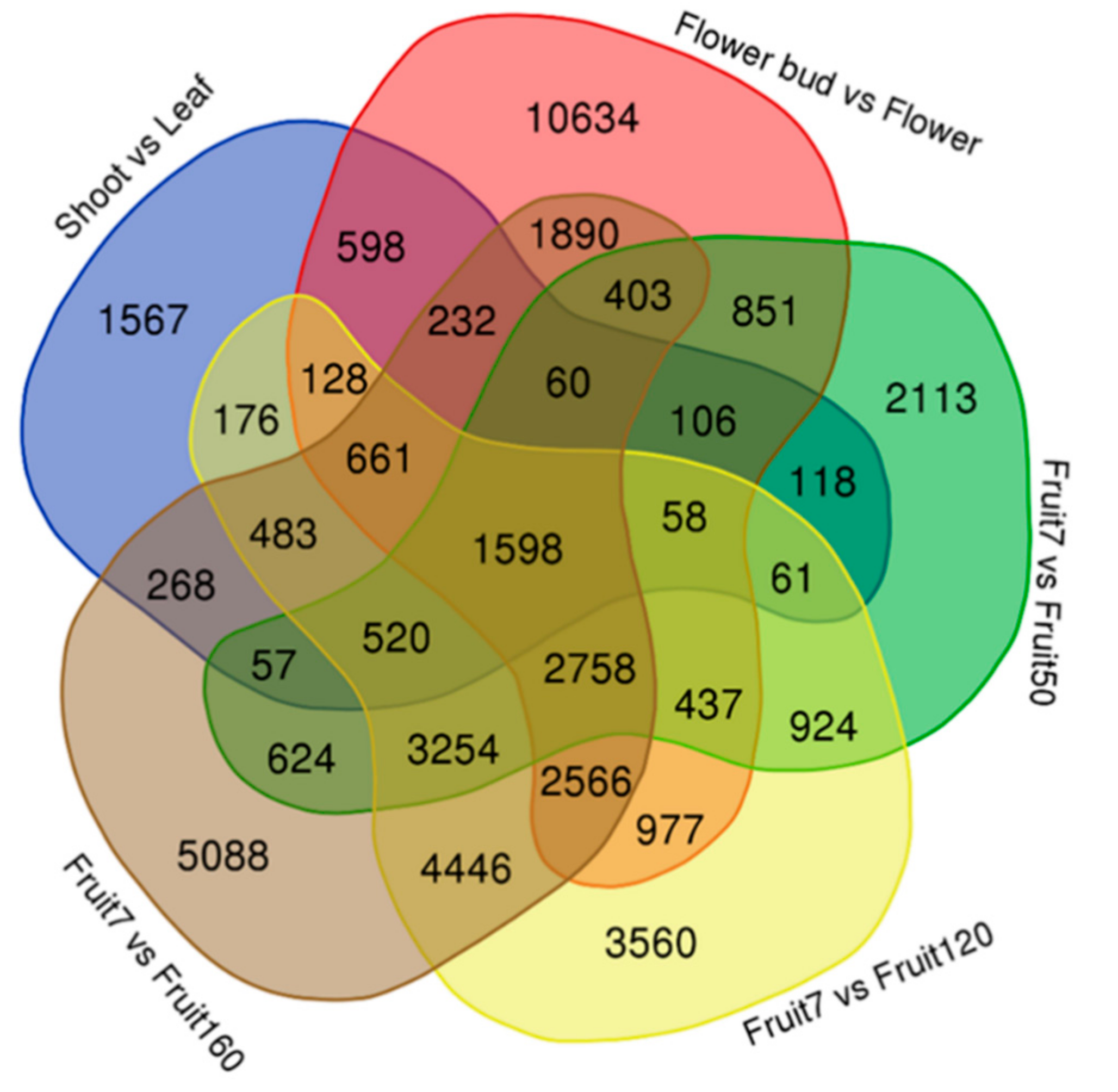 Agronomy 11 00919 g004 Agronomy 11 00919 g004
