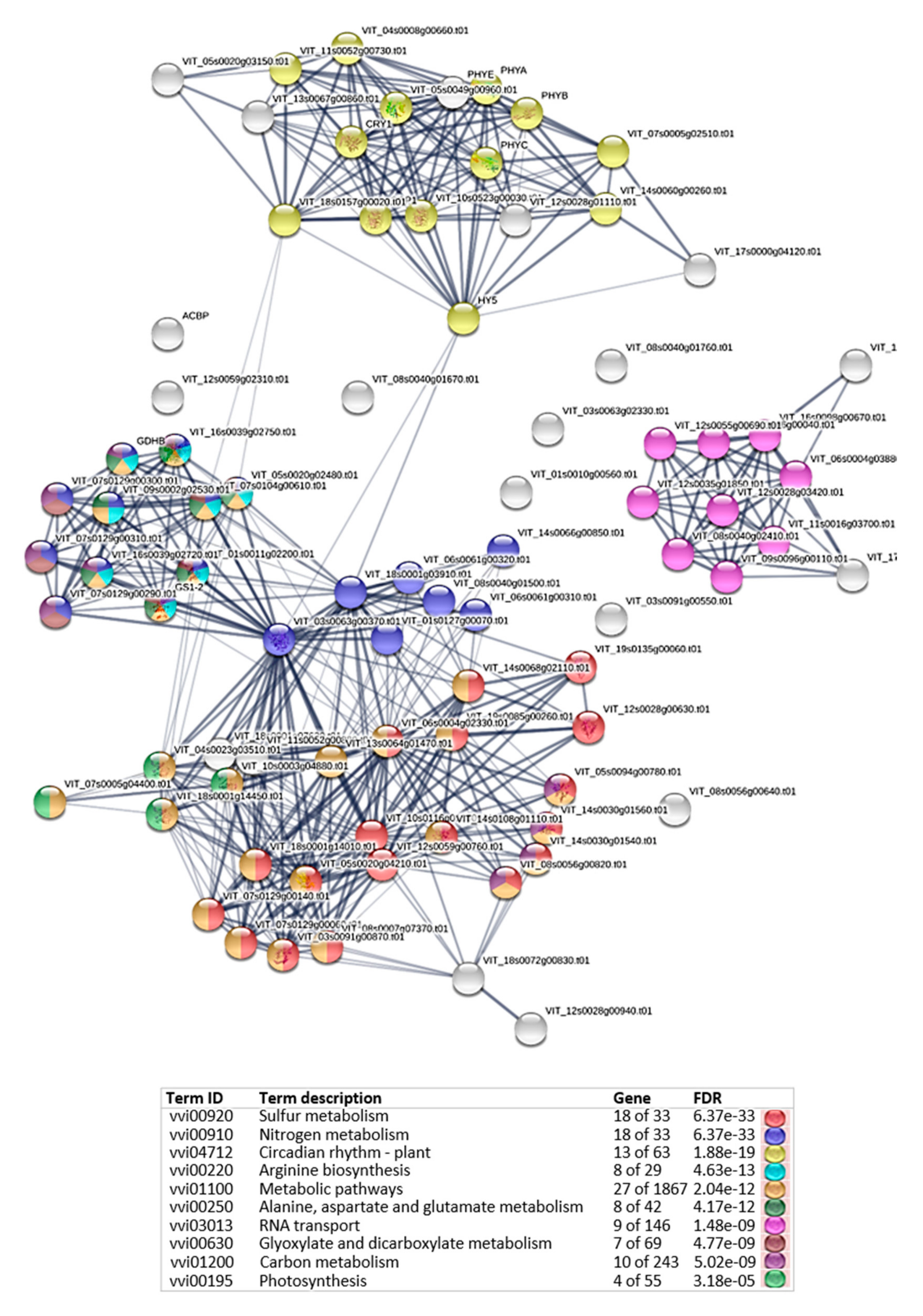 Agronomy 11 00919 g007 Agronomy 11 00919 g007