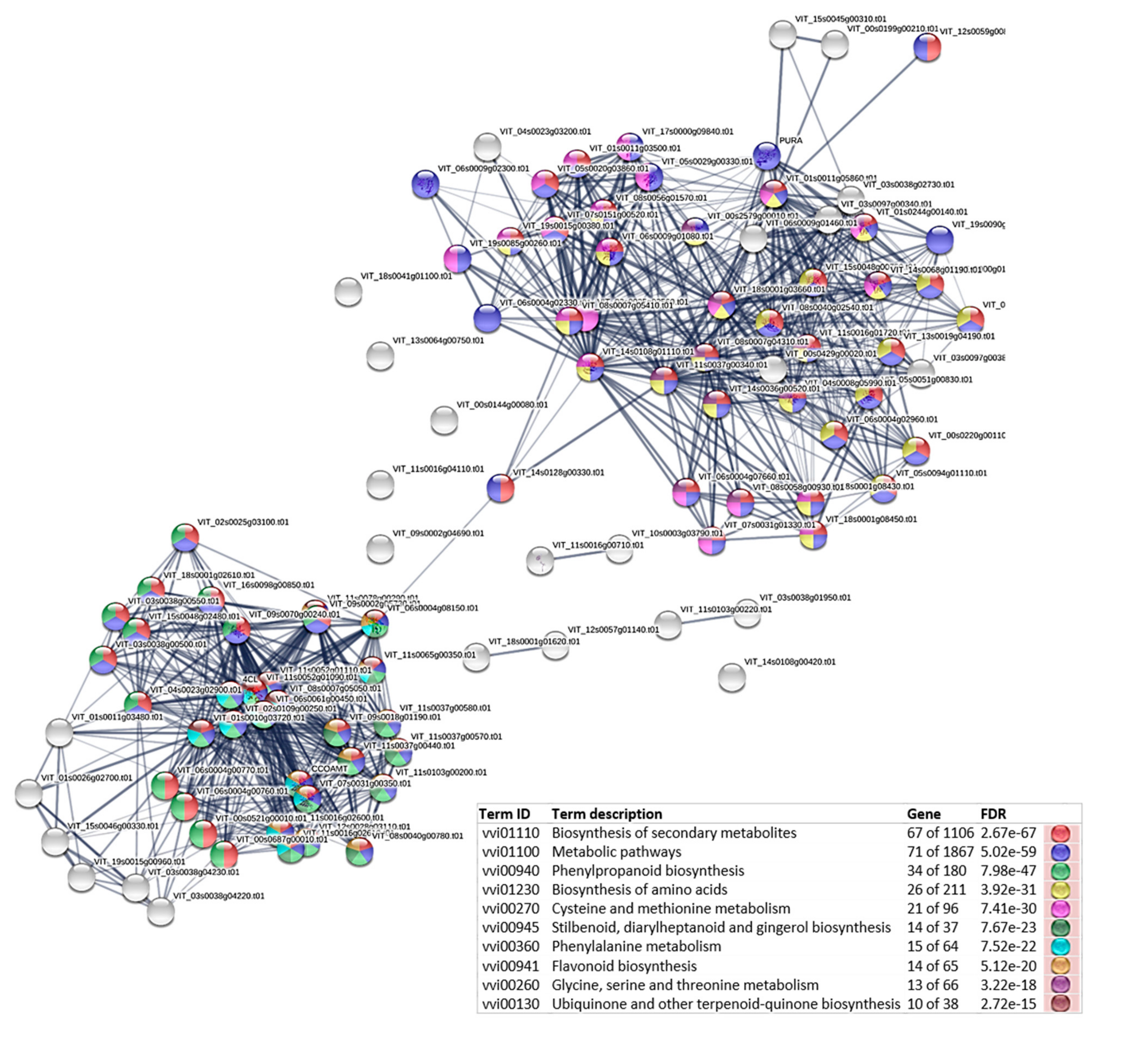 Agronomy 11 00919 g008 Agronomy 11 00919 g008