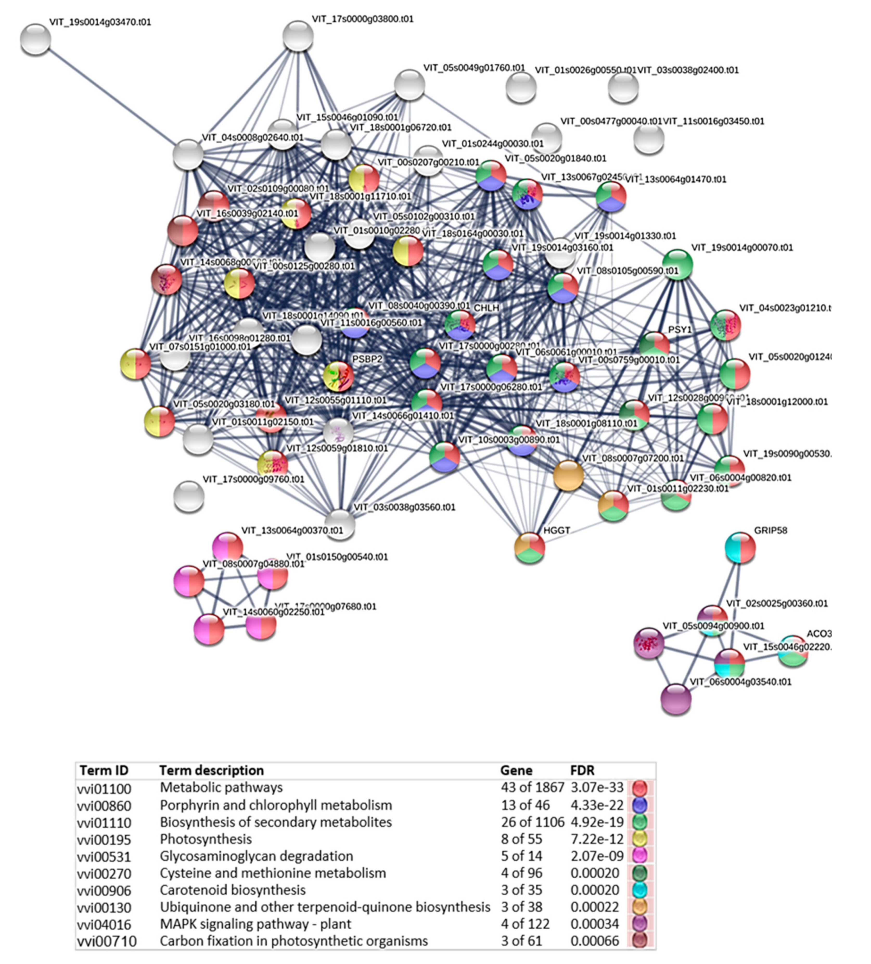 Agronomy 11 00919 g009 Agronomy 11 00919 g009