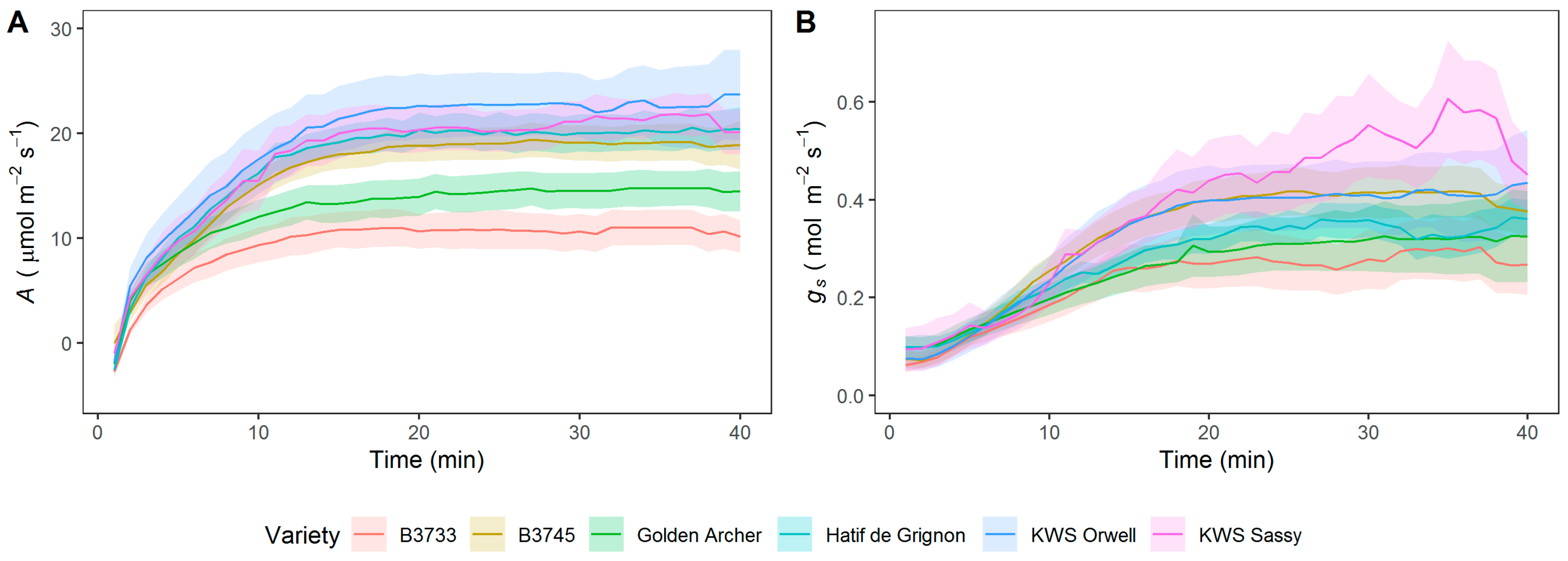 Agronomy 11 00921 g001 Agronomy 11 00921 g001