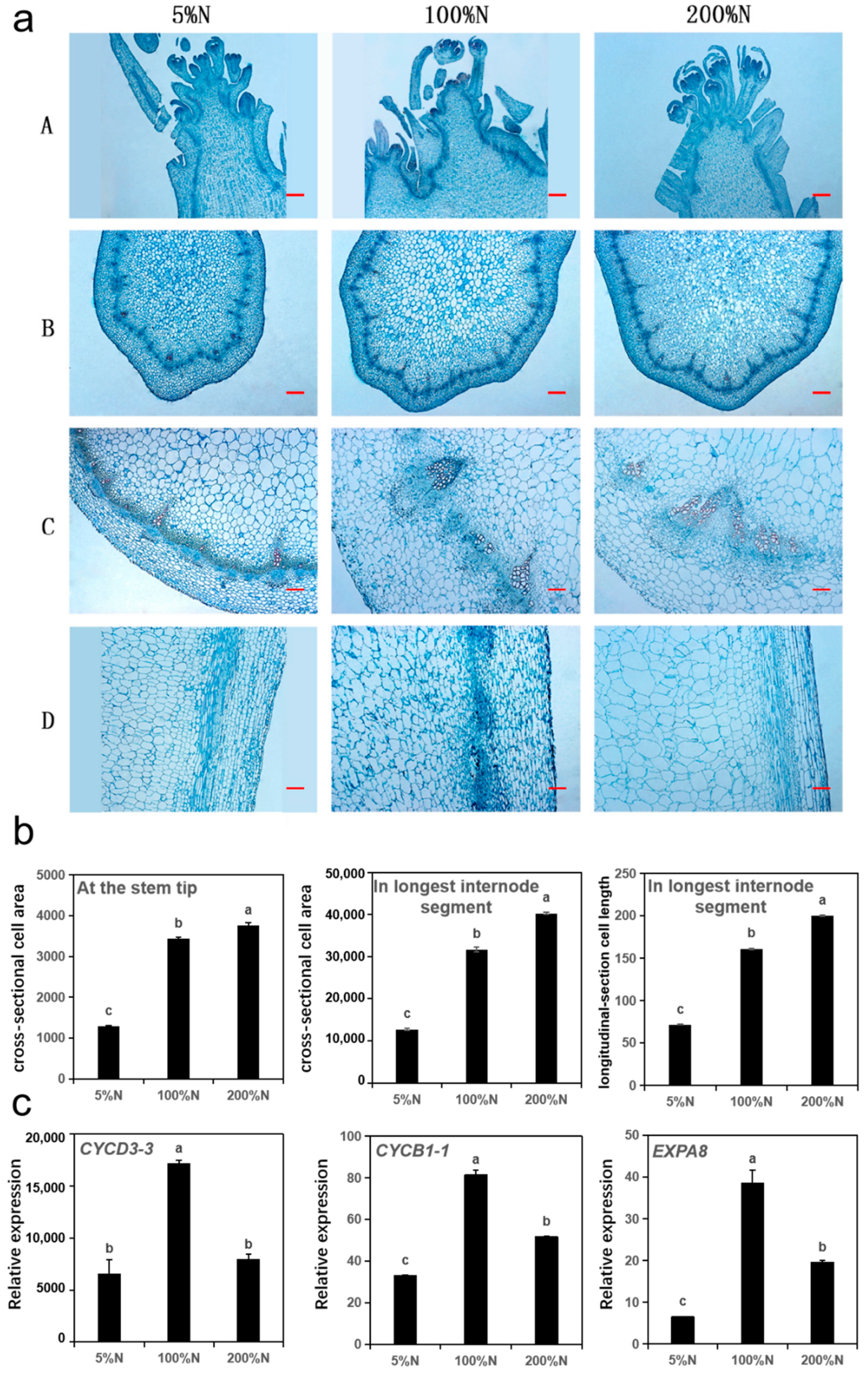 Agronomy 11 00936 g005 Agronomy 11 00936 g005
