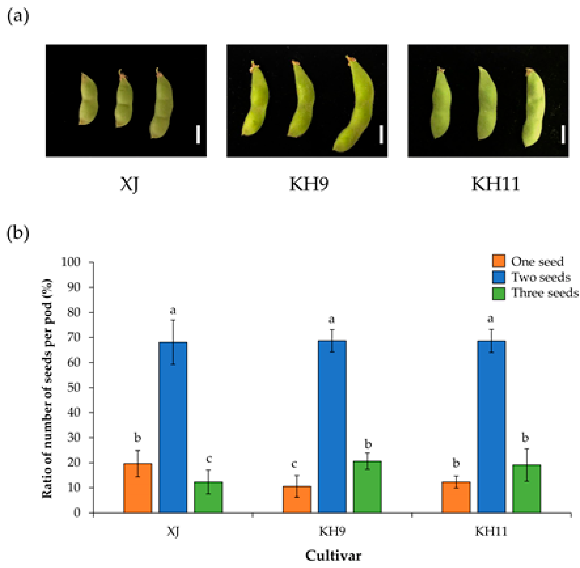 Agronomy 11 00939 g003 Agronomy 11 00939 g003