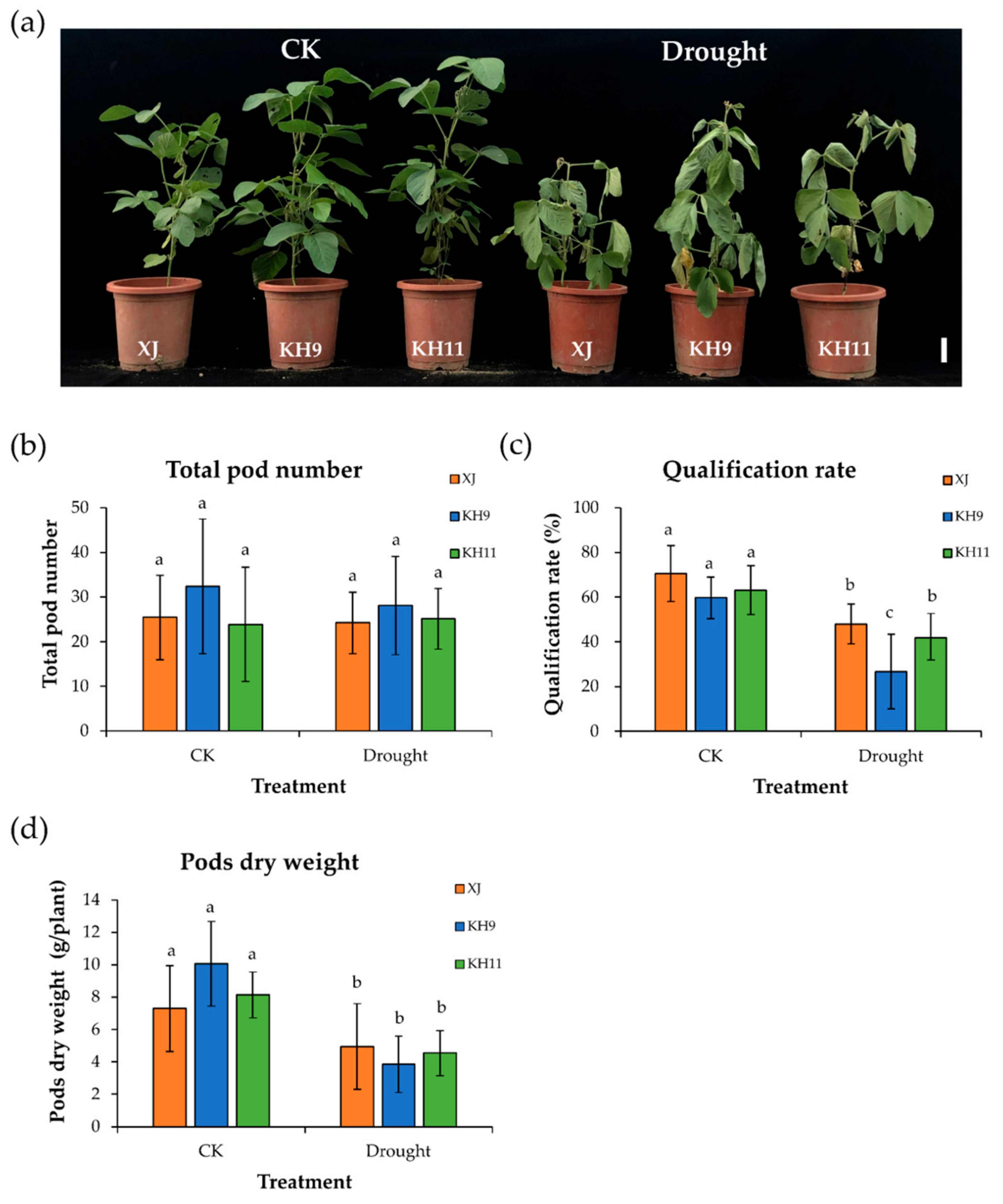 Agronomy 11 00939 g004 Agronomy 11 00939 g004