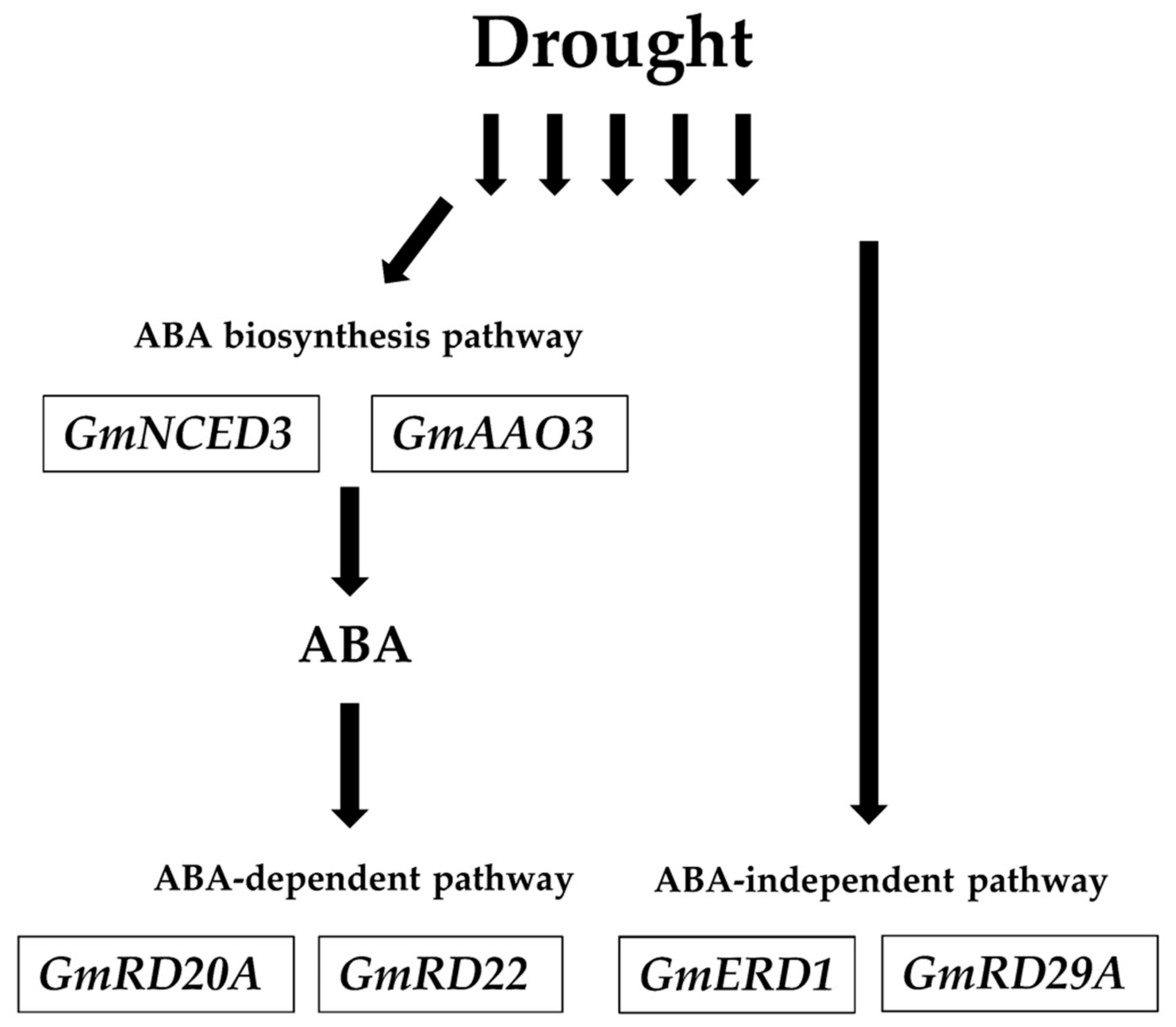 Agronomy 11 00939 g006 Agronomy 11 00939 g006
