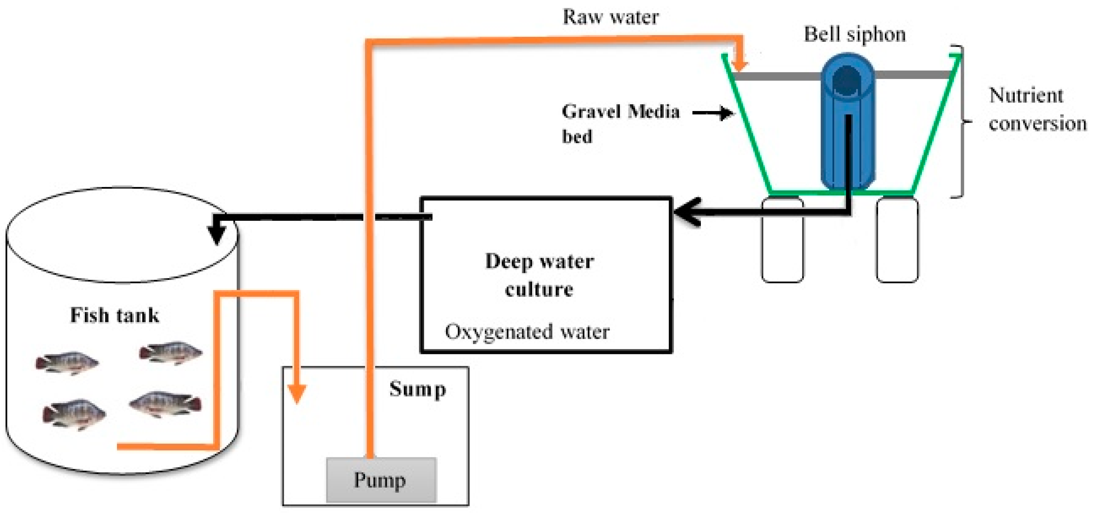 Agronomy 11 00947 g001 Agronomy 11 00947 g001