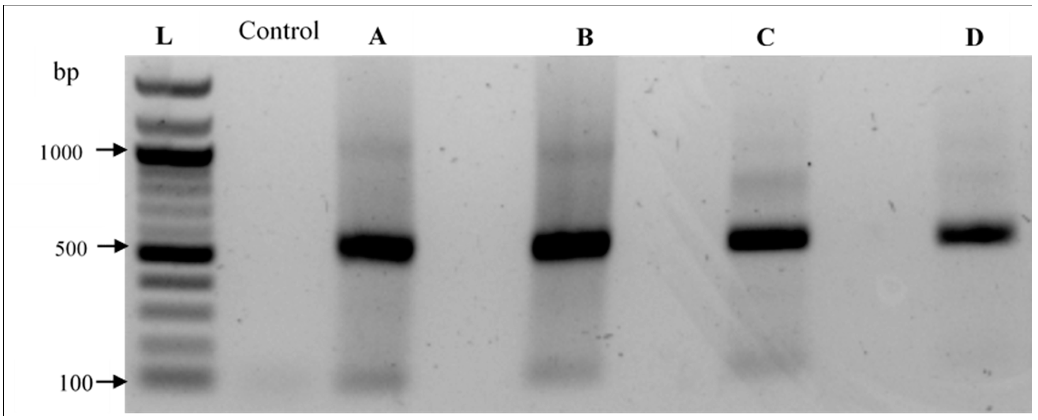 Agronomy 11 00947 g002 Agronomy 11 00947 g002