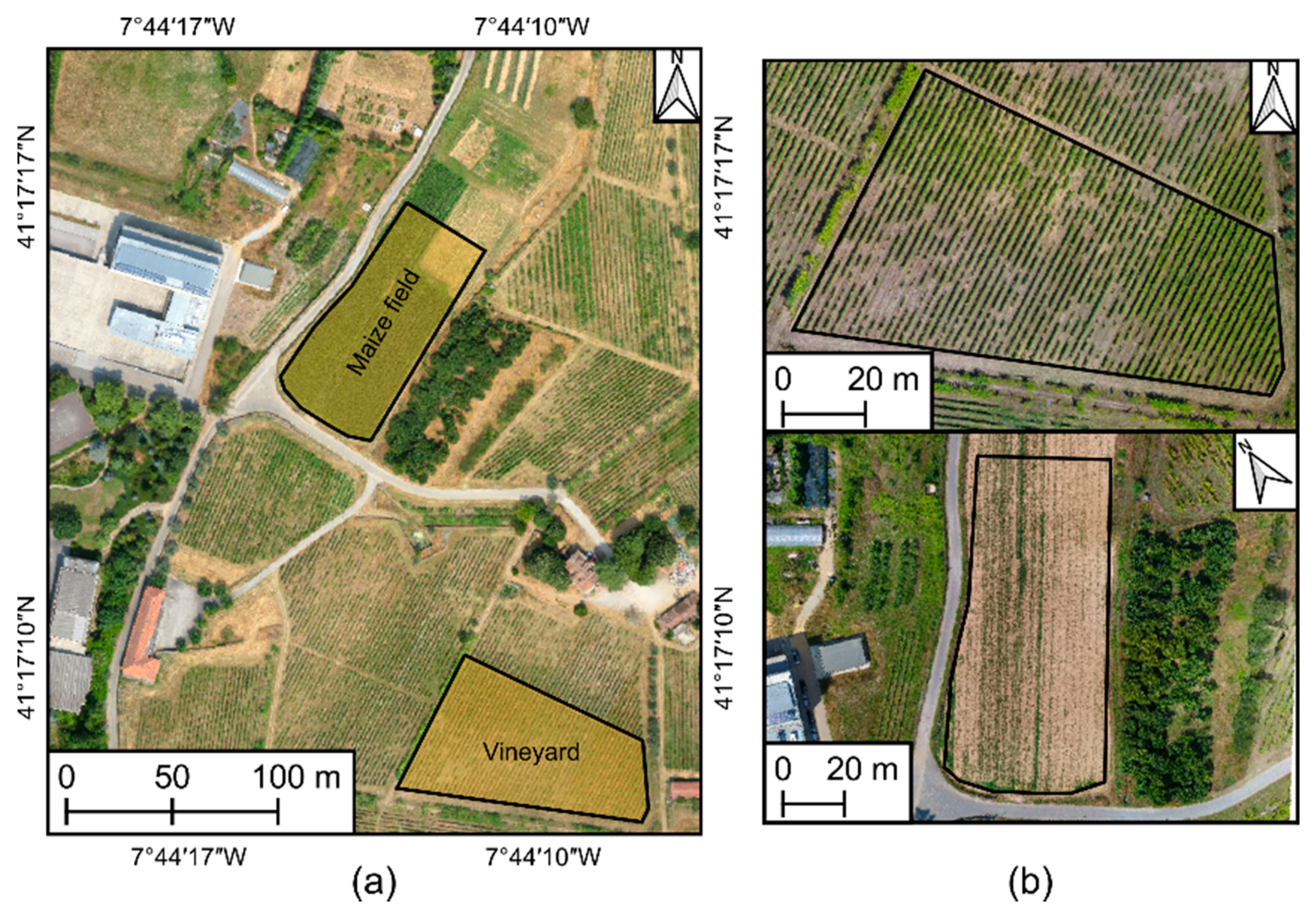 Agronomy 11 00952 g005 Agronomy 11 00952 g005