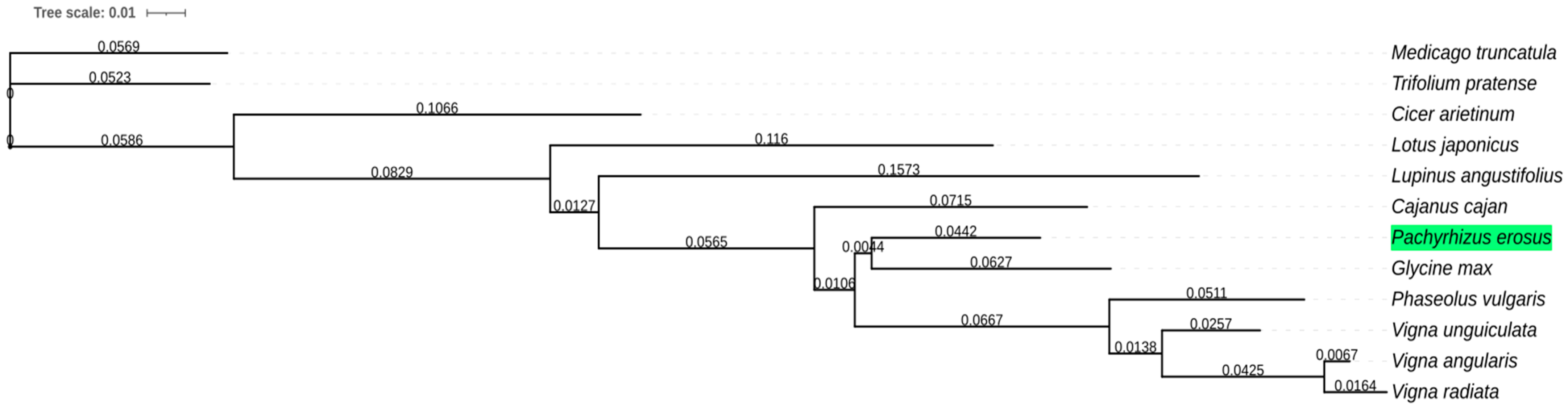 Agronomy 11 00953 g001