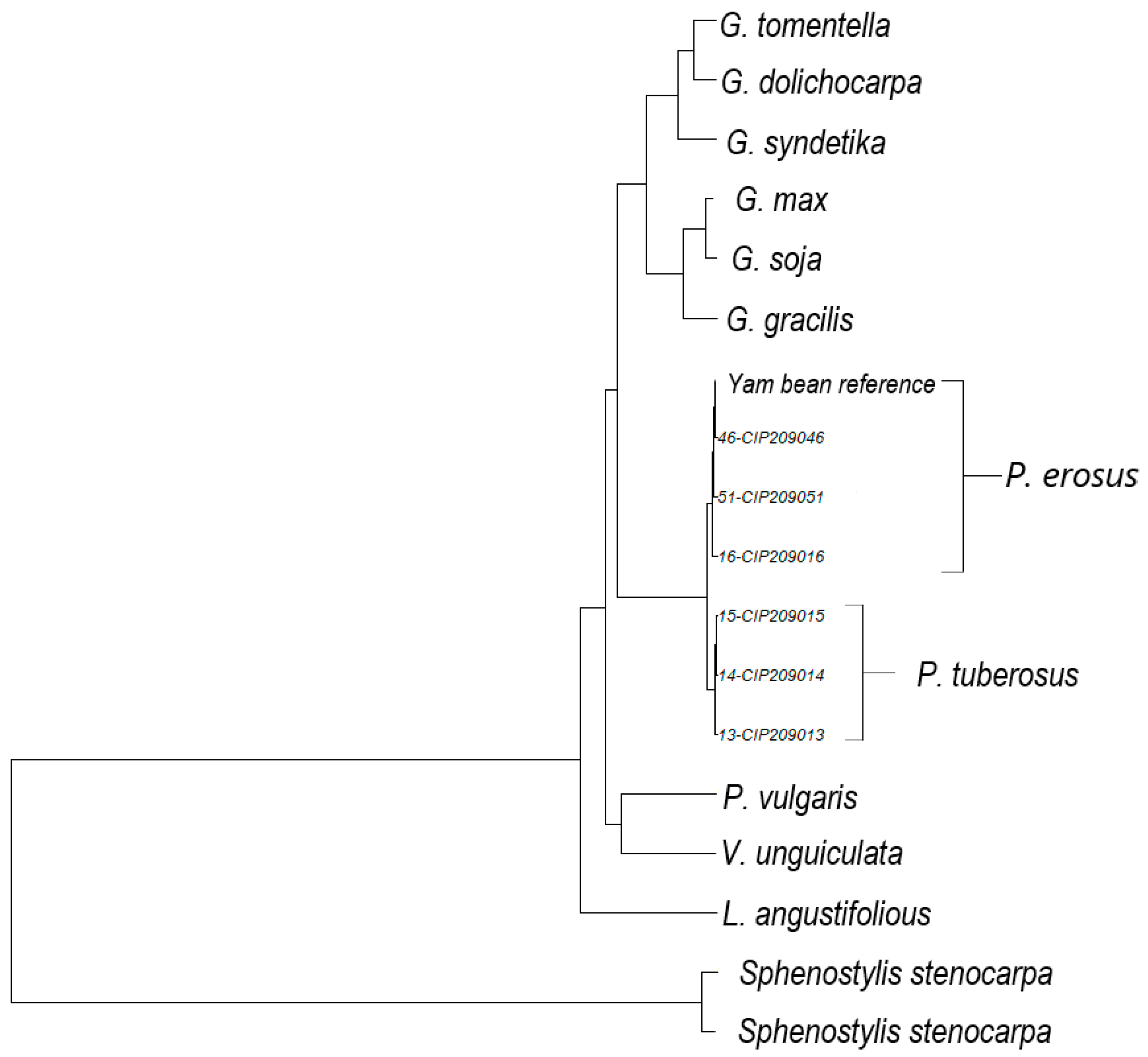 Agronomy 11 00953 g003