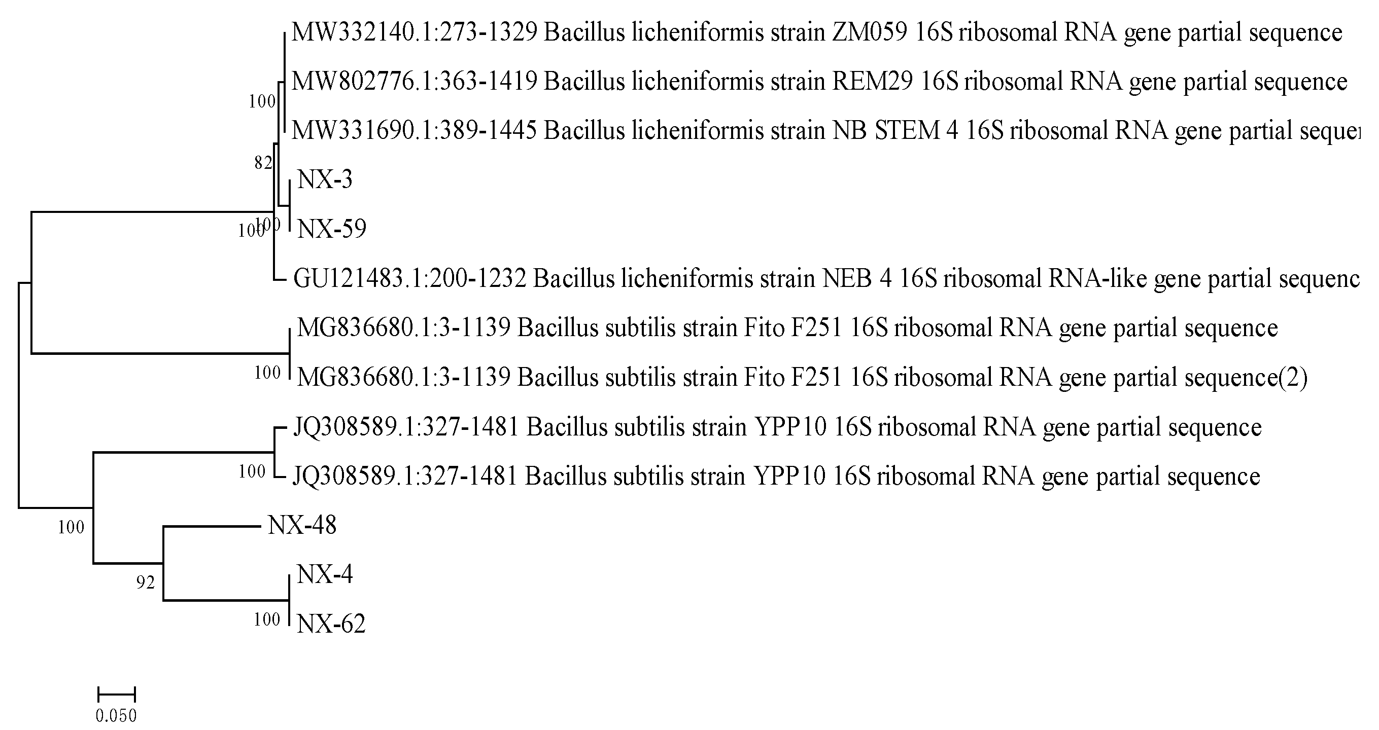 Agronomy 11 00966 g002 Agronomy 11 00966 g002