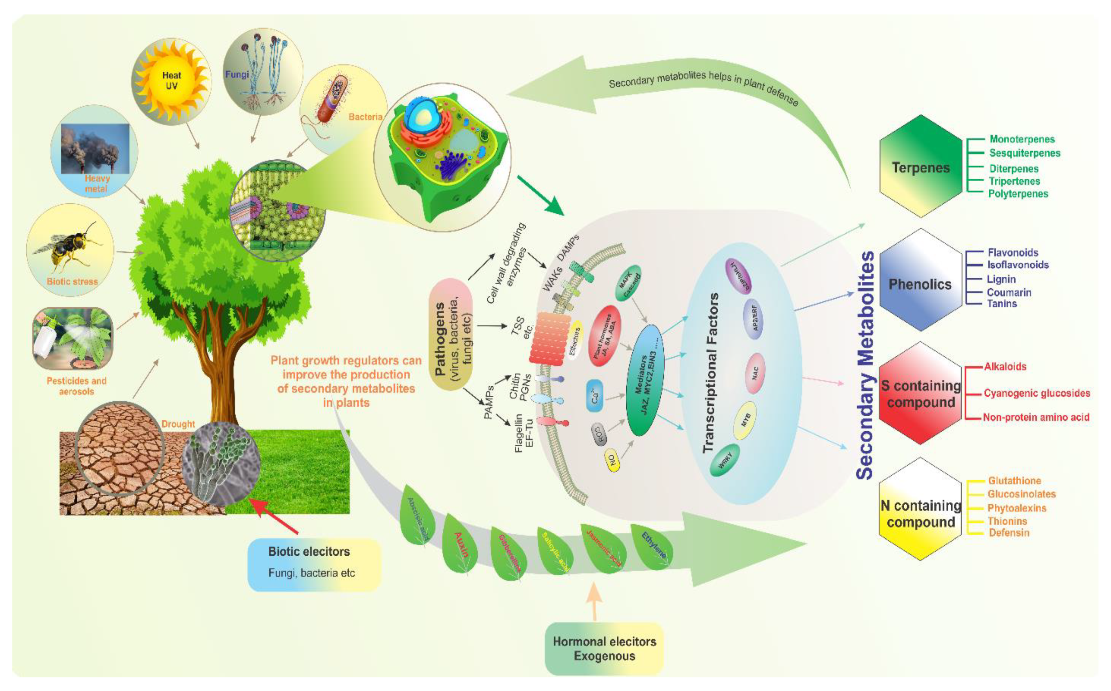 Full article: Plant Volatiles: Recent Advances and Future Perspectives