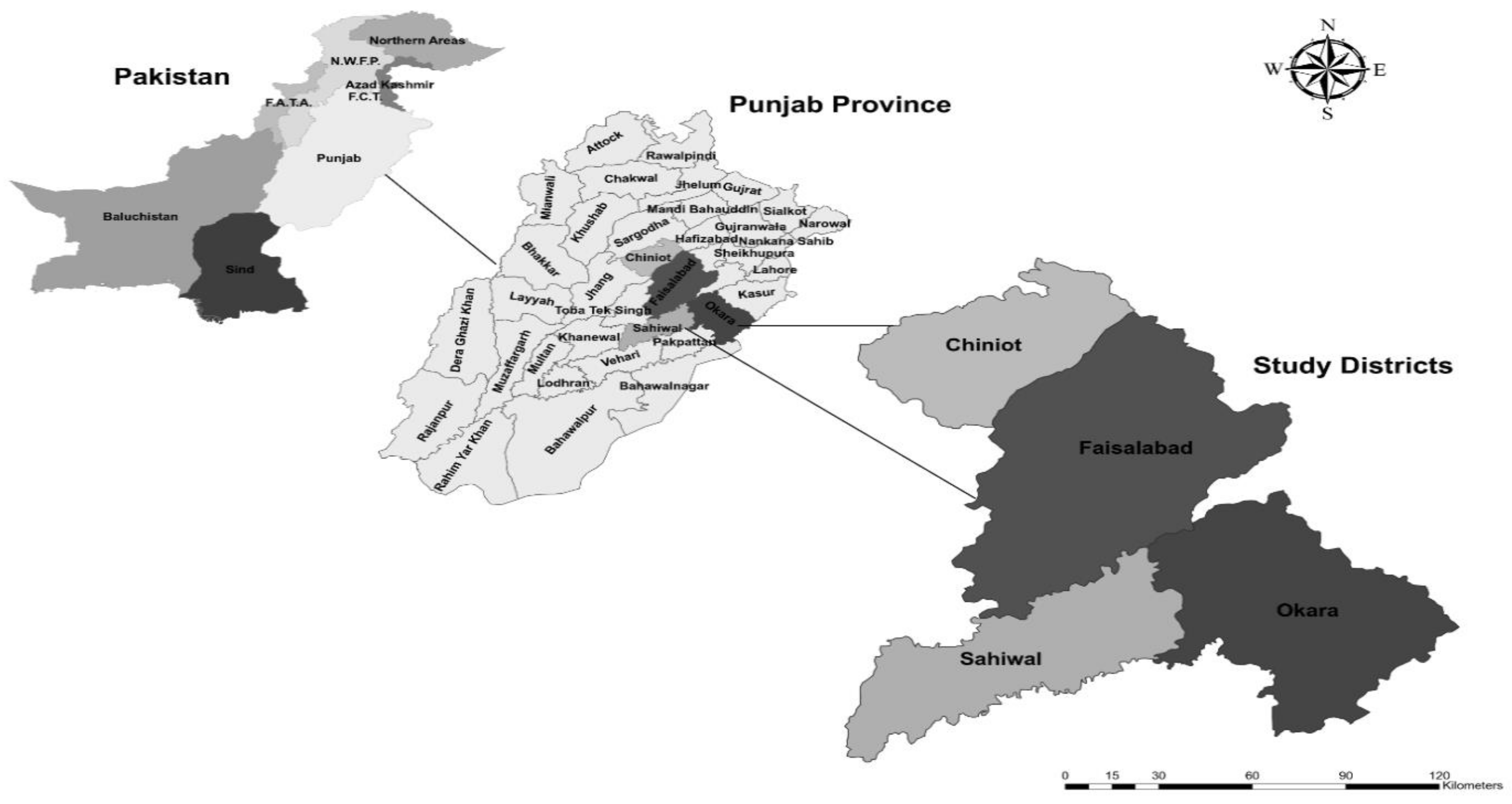 Agronomy 11 00973 g001