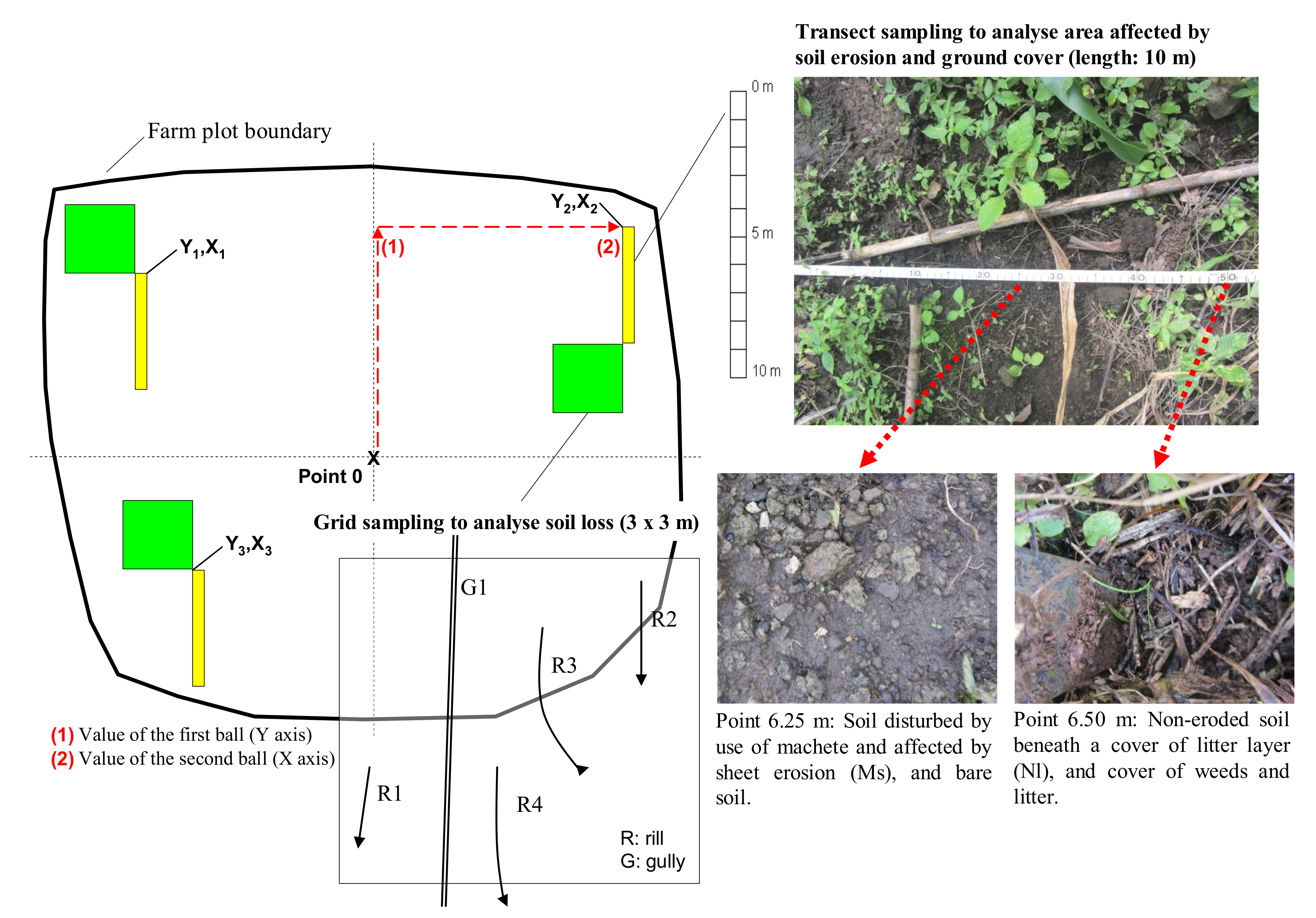 Agronomy 11 00974 g003 Agronomy 11 00974 g003