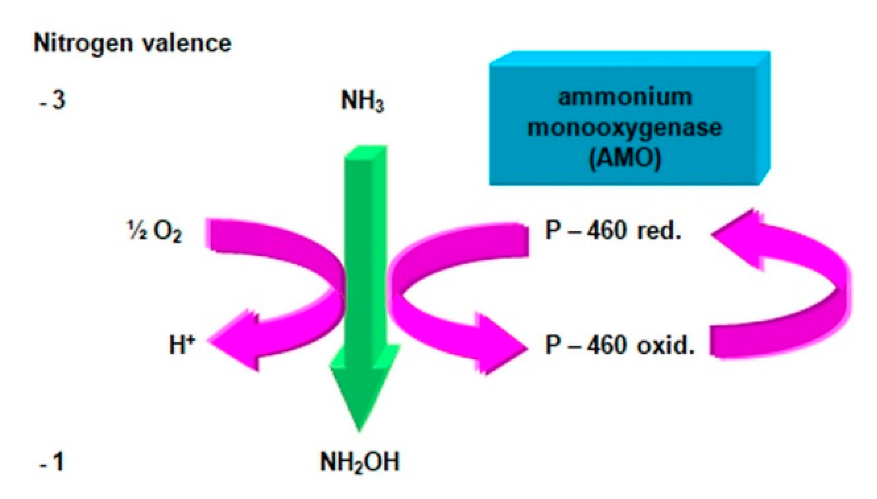 Agronomy 11 00977 g002