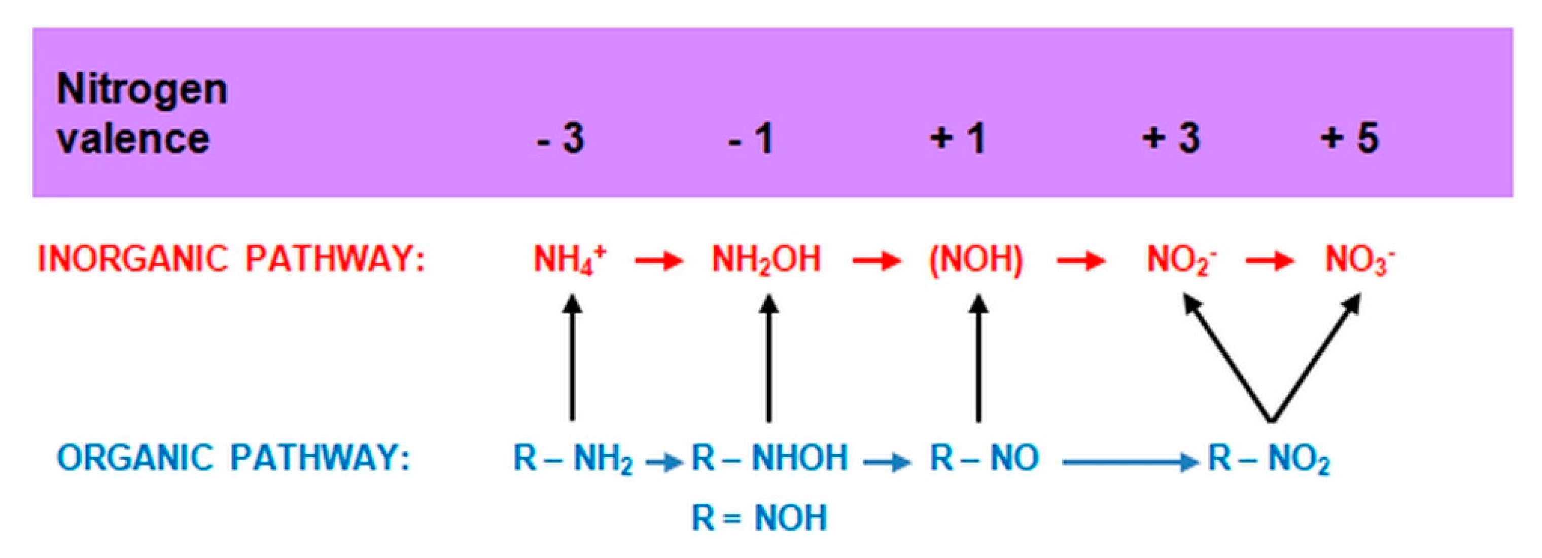Agronomy 11 00977 g008