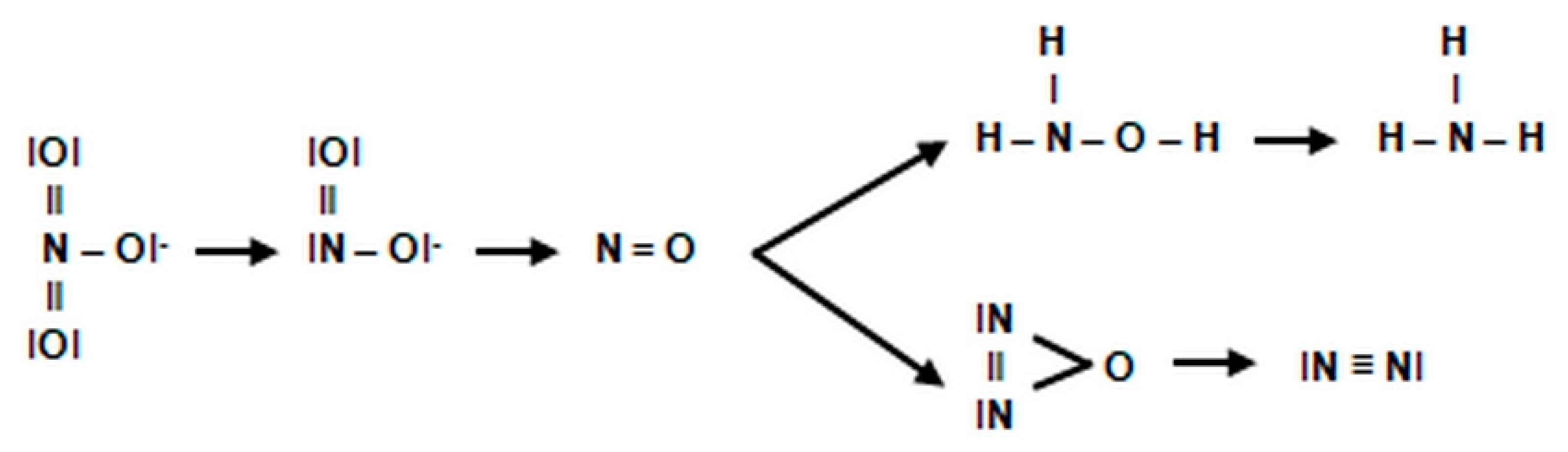 Agronomy 11 00977 g010