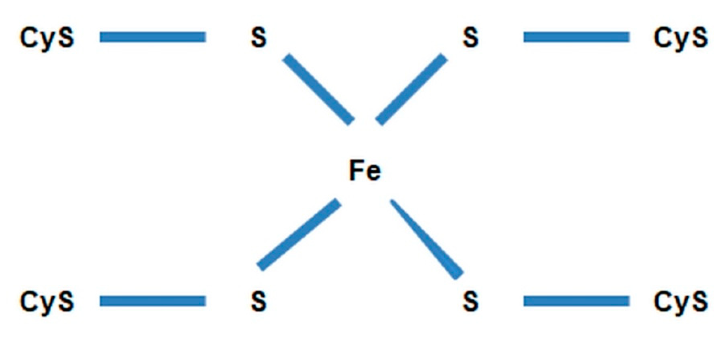 Agronomy 11 00977 g013