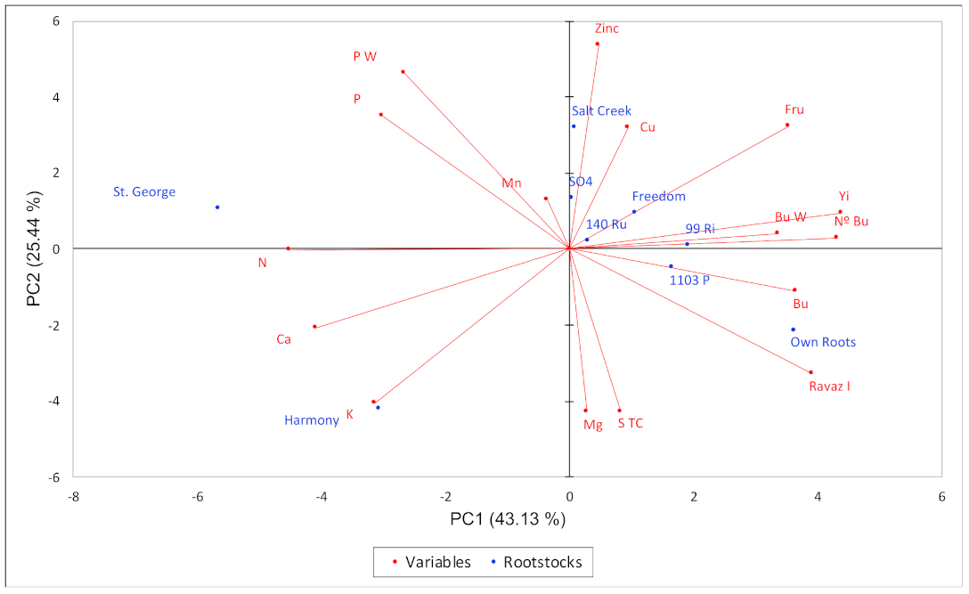 Agronomy 11 00979 g001
