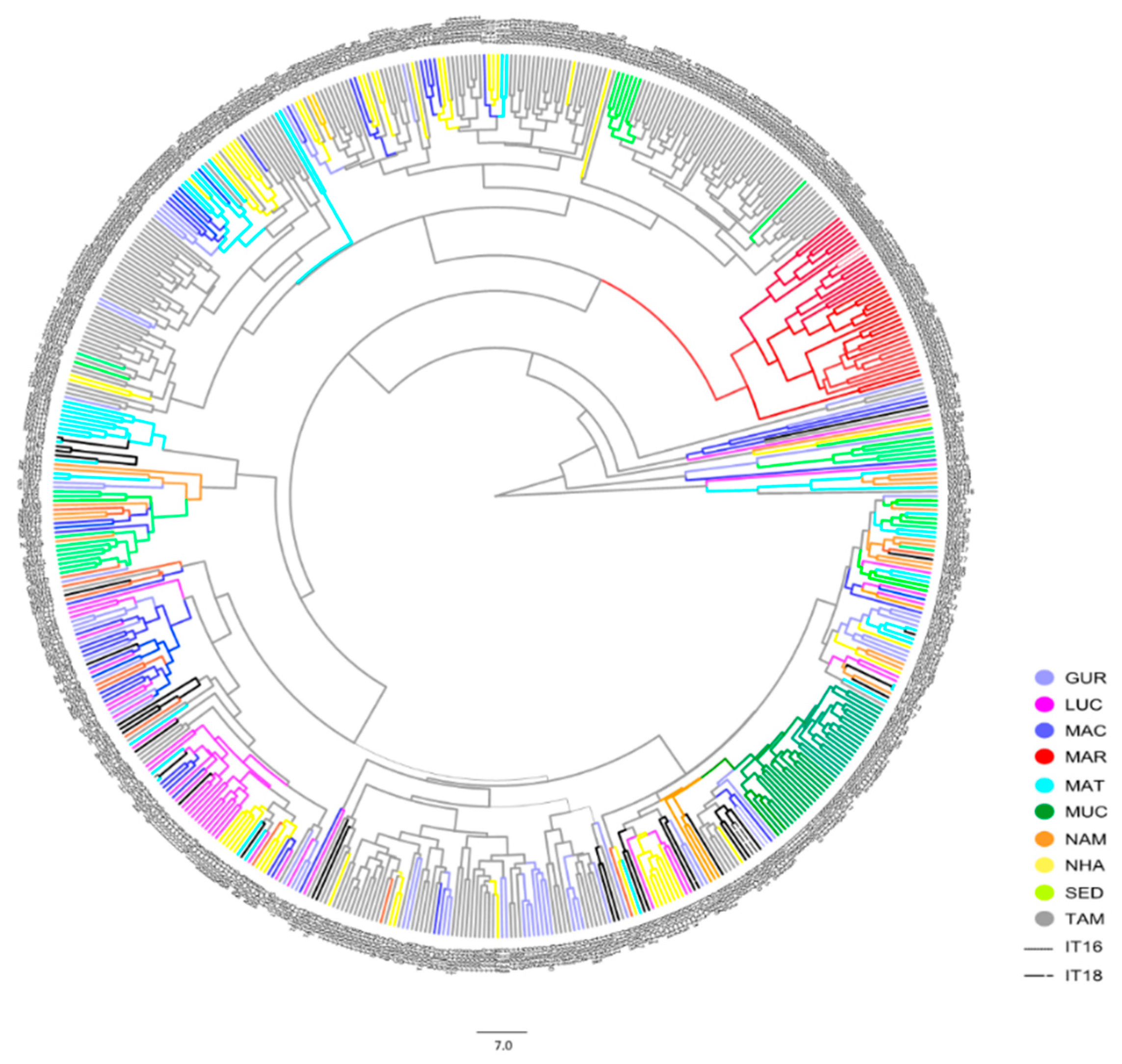Agronomy 11 00991 g006 Agronomy 11 00991 g006
