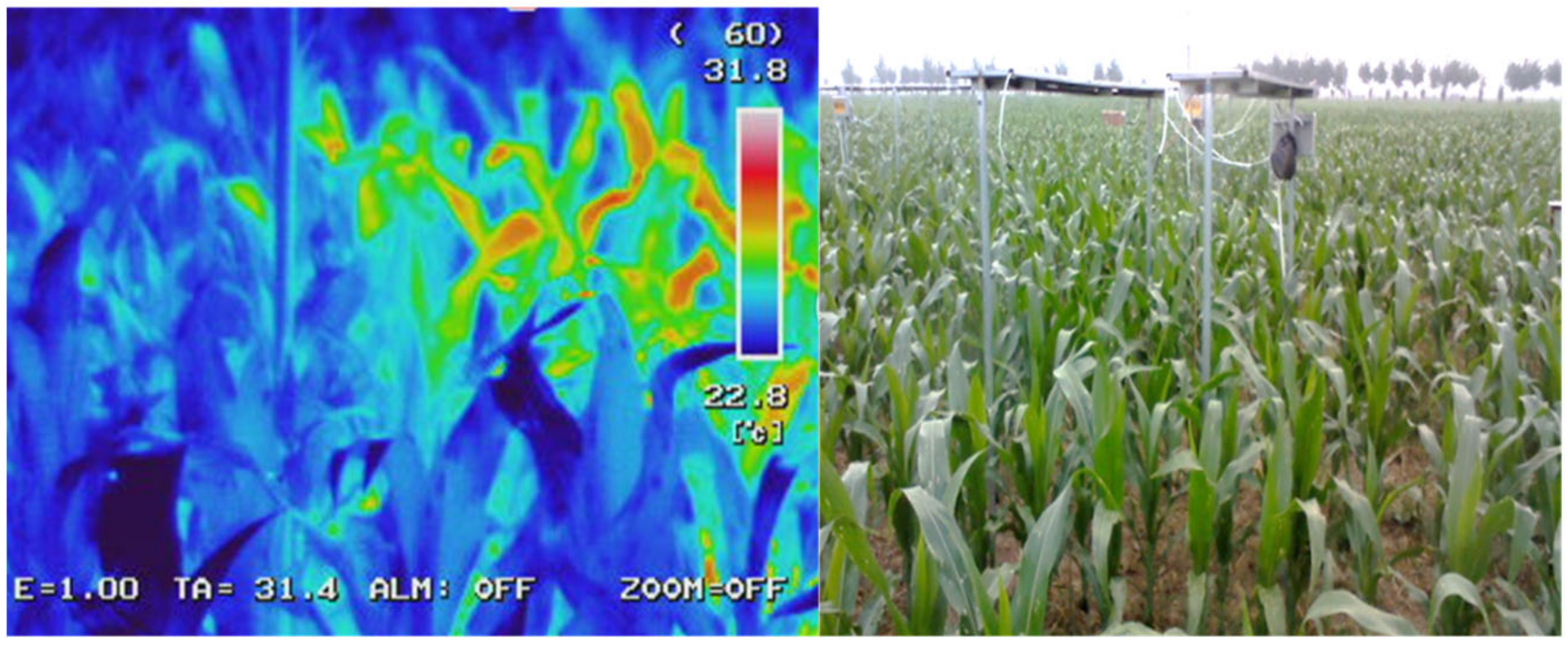 Agronomy 11 00992 g002 Agronomy 11 00992 g002