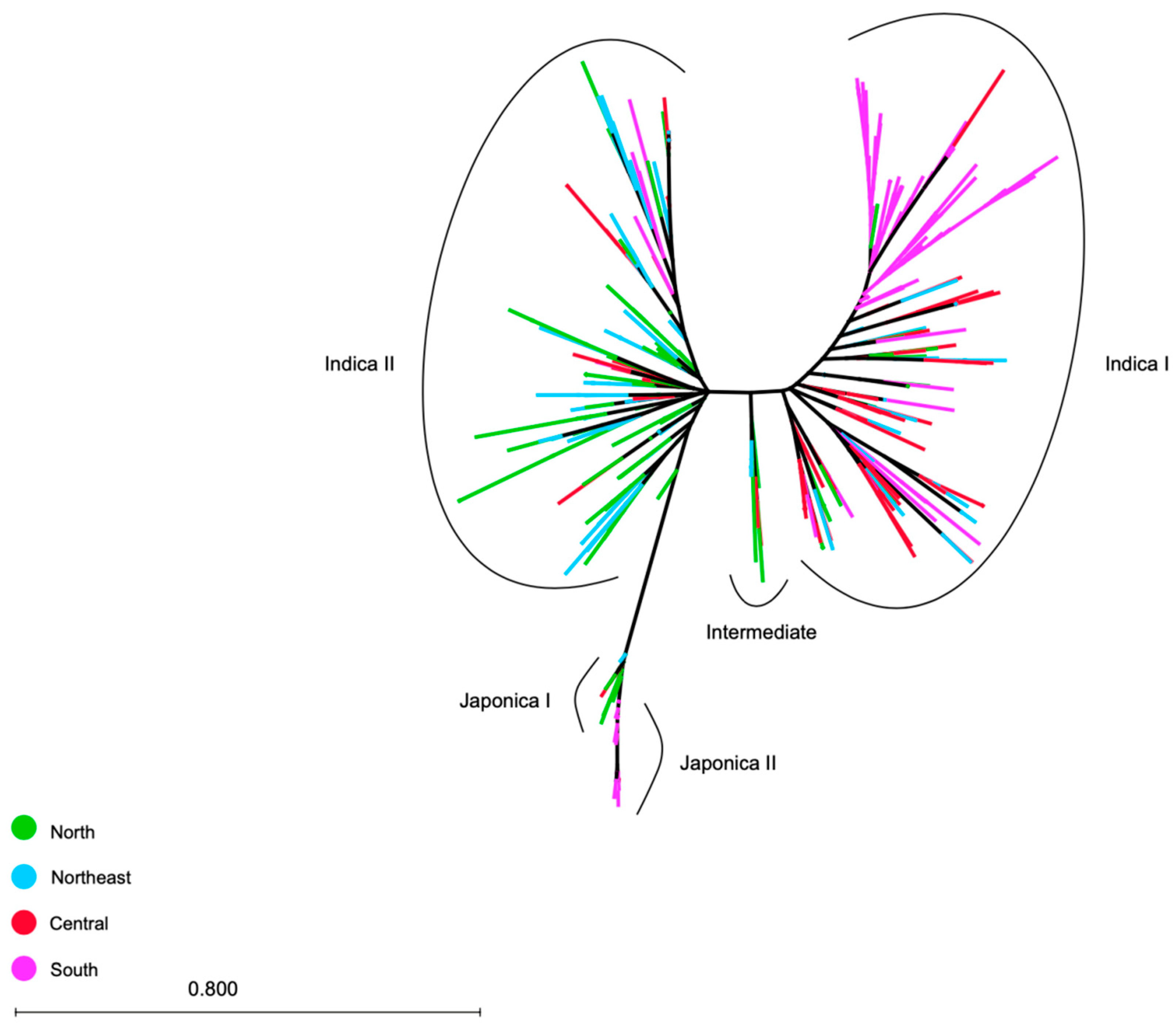 Agronomy 11 00995 g006 Agronomy 11 00995 g006