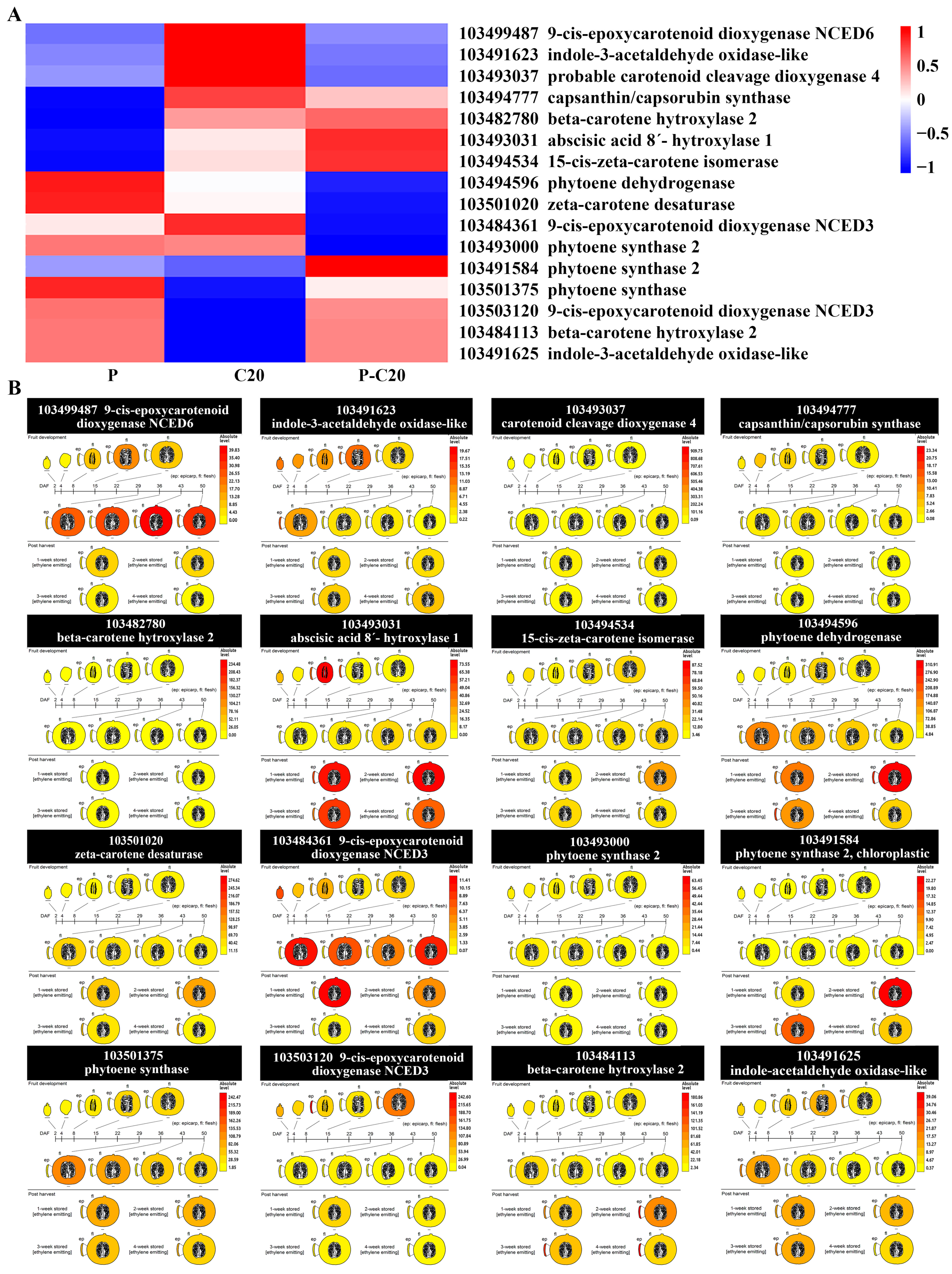Agronomy 11 01007 g006