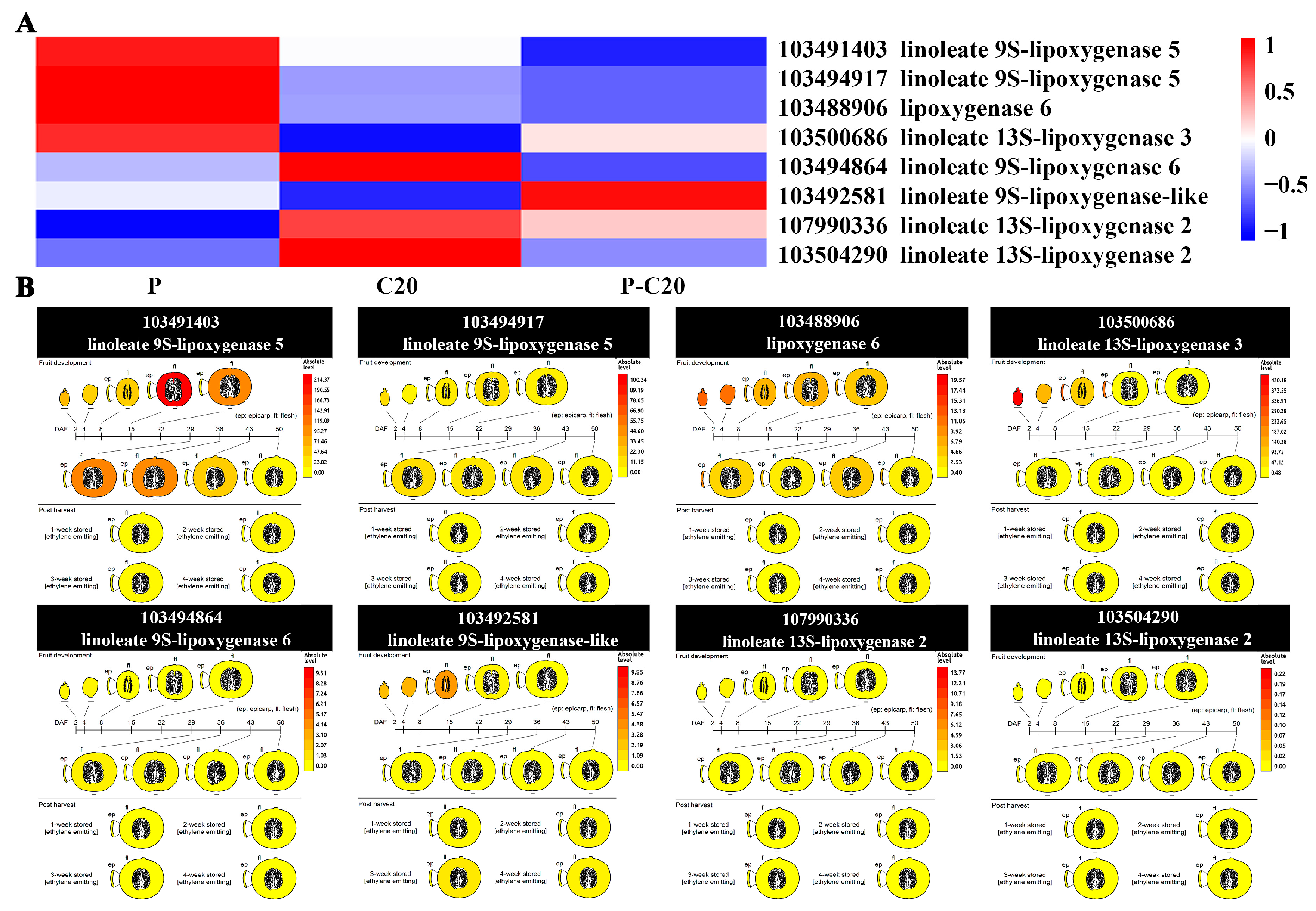 Agronomy 11 01007 g007