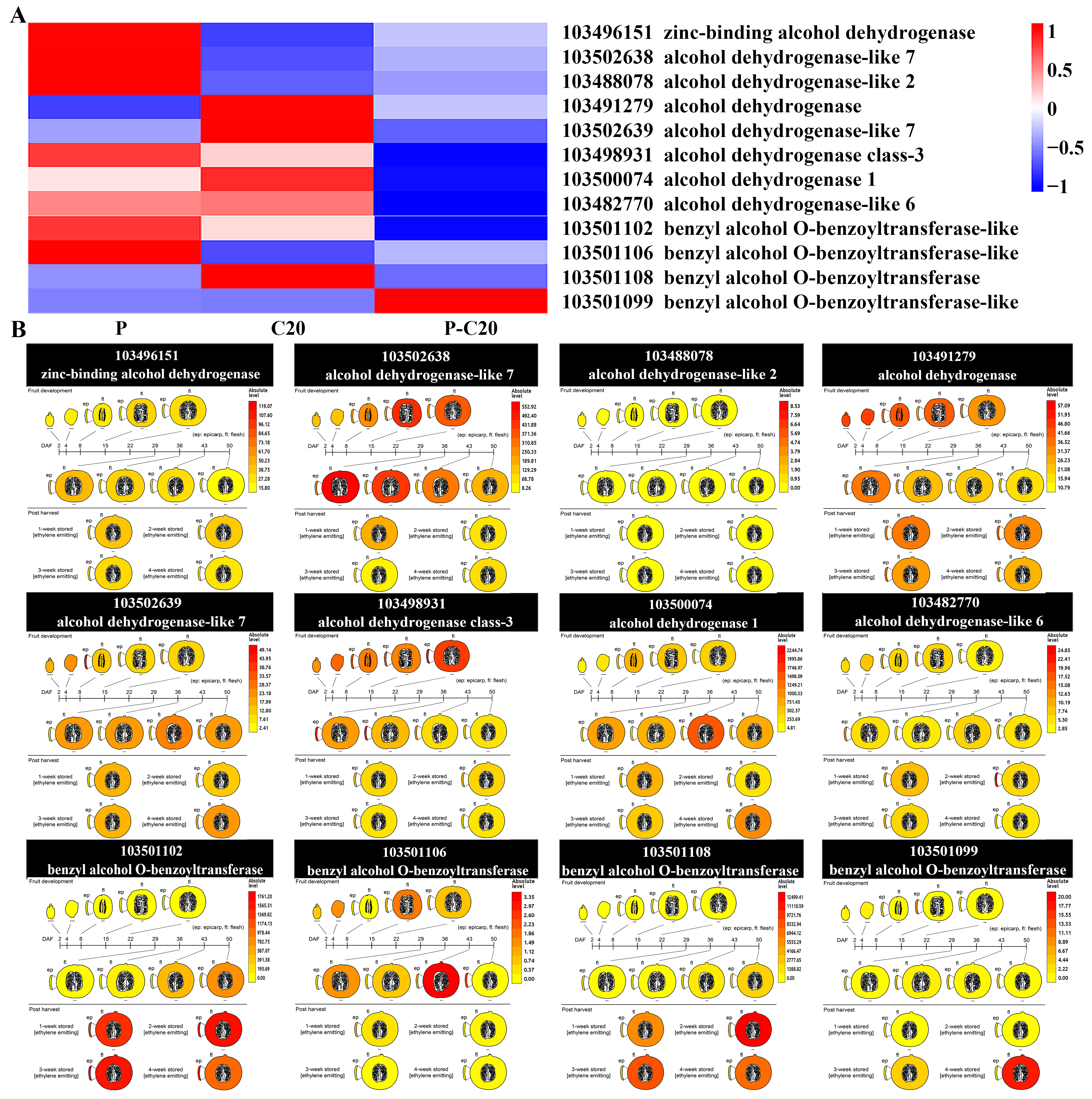 Agronomy 11 01007 g008