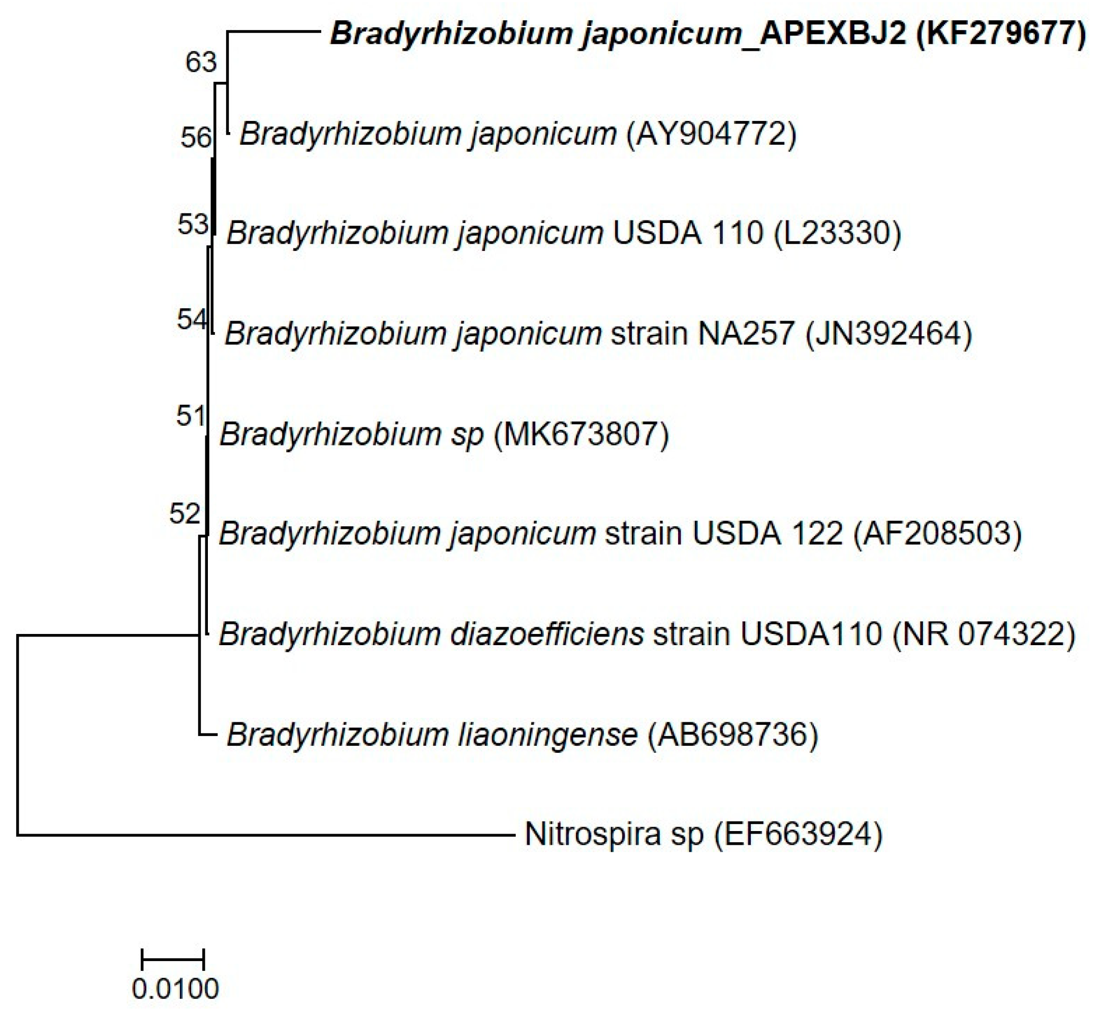 Agronomy 11 01009 g003