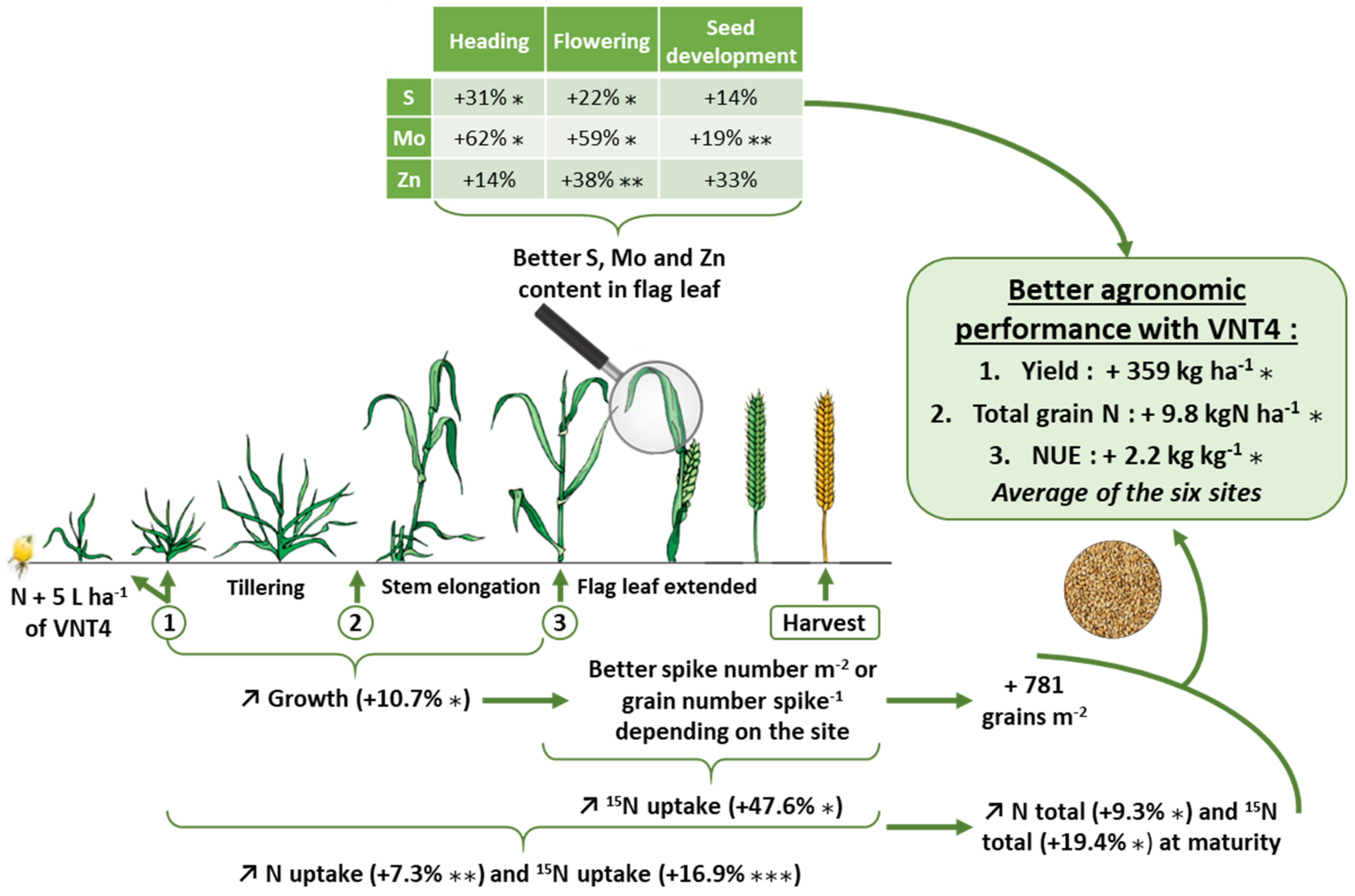 Agronomy 11 01013 g005 Agronomy 11 01013 g005