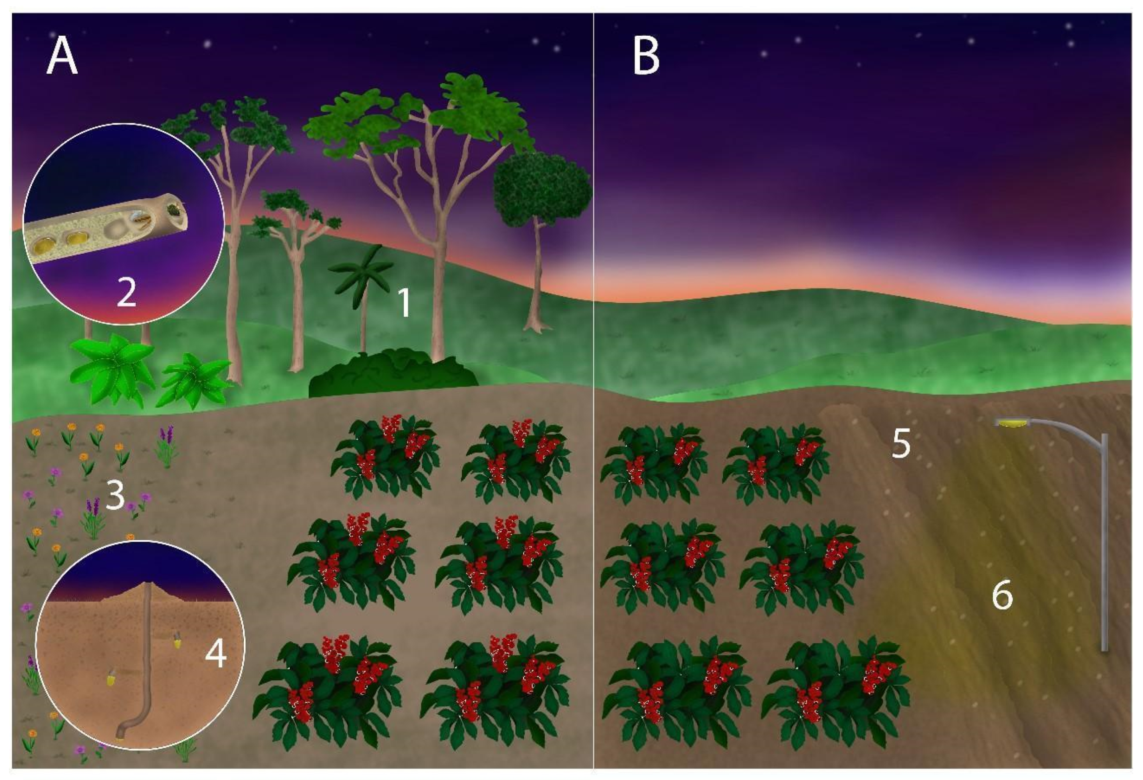 Agronomy 11 01014 g002