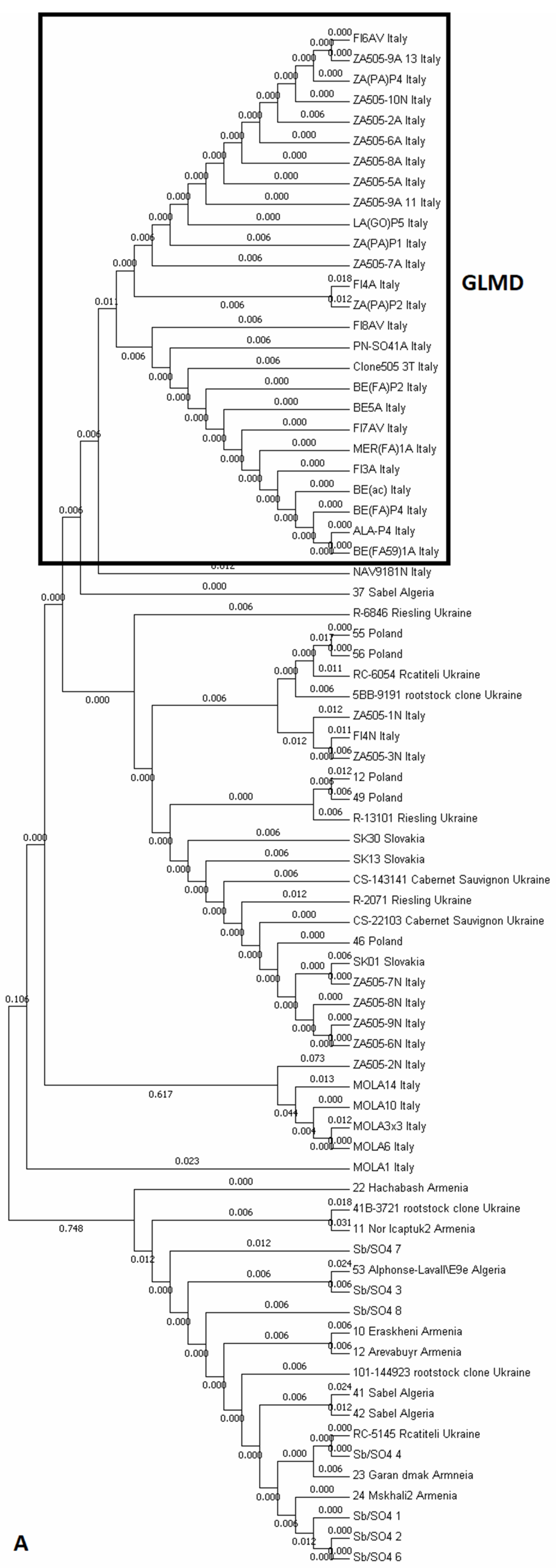 Agronomy 11 01020 g002a Agronomy 11 01020 g002a