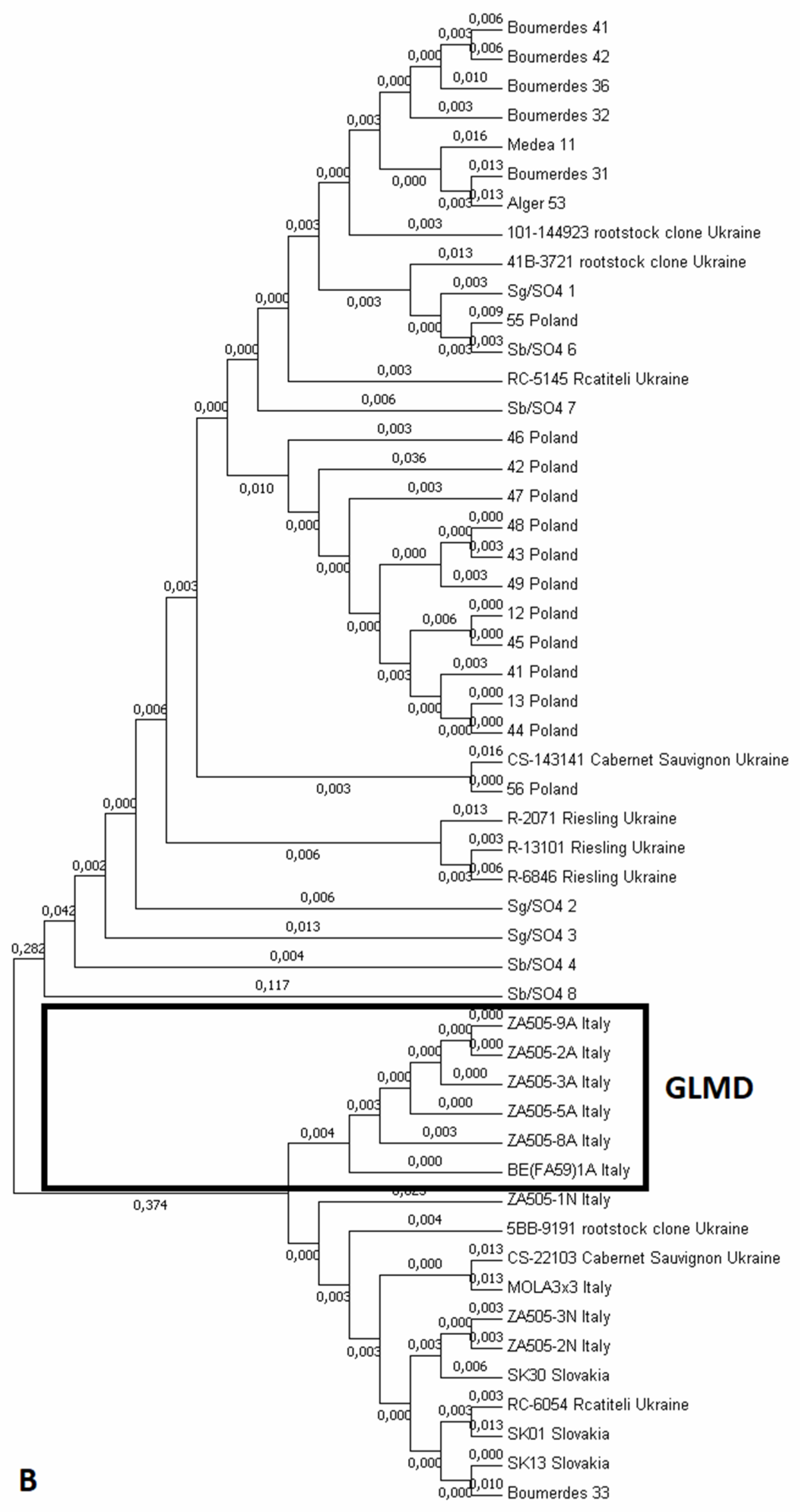 Agronomy 11 01020 g002b Agronomy 11 01020 g002b