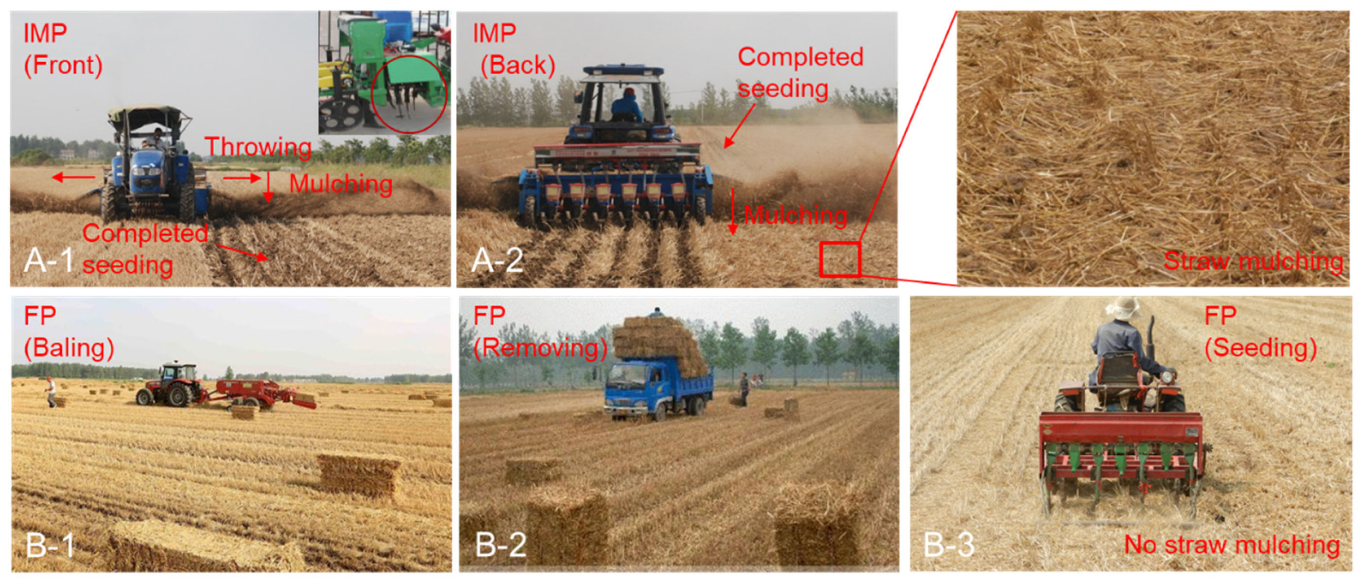 Agronomy 11 01033 g001