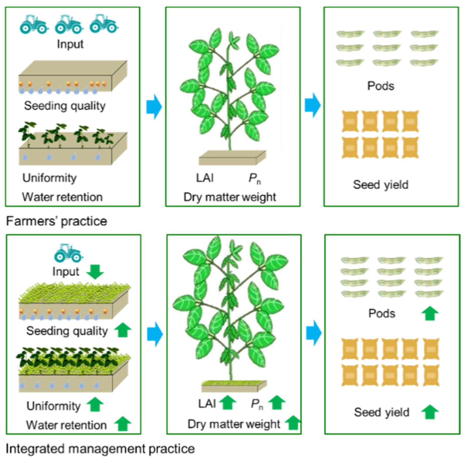 Agronomy 11 01033 g010